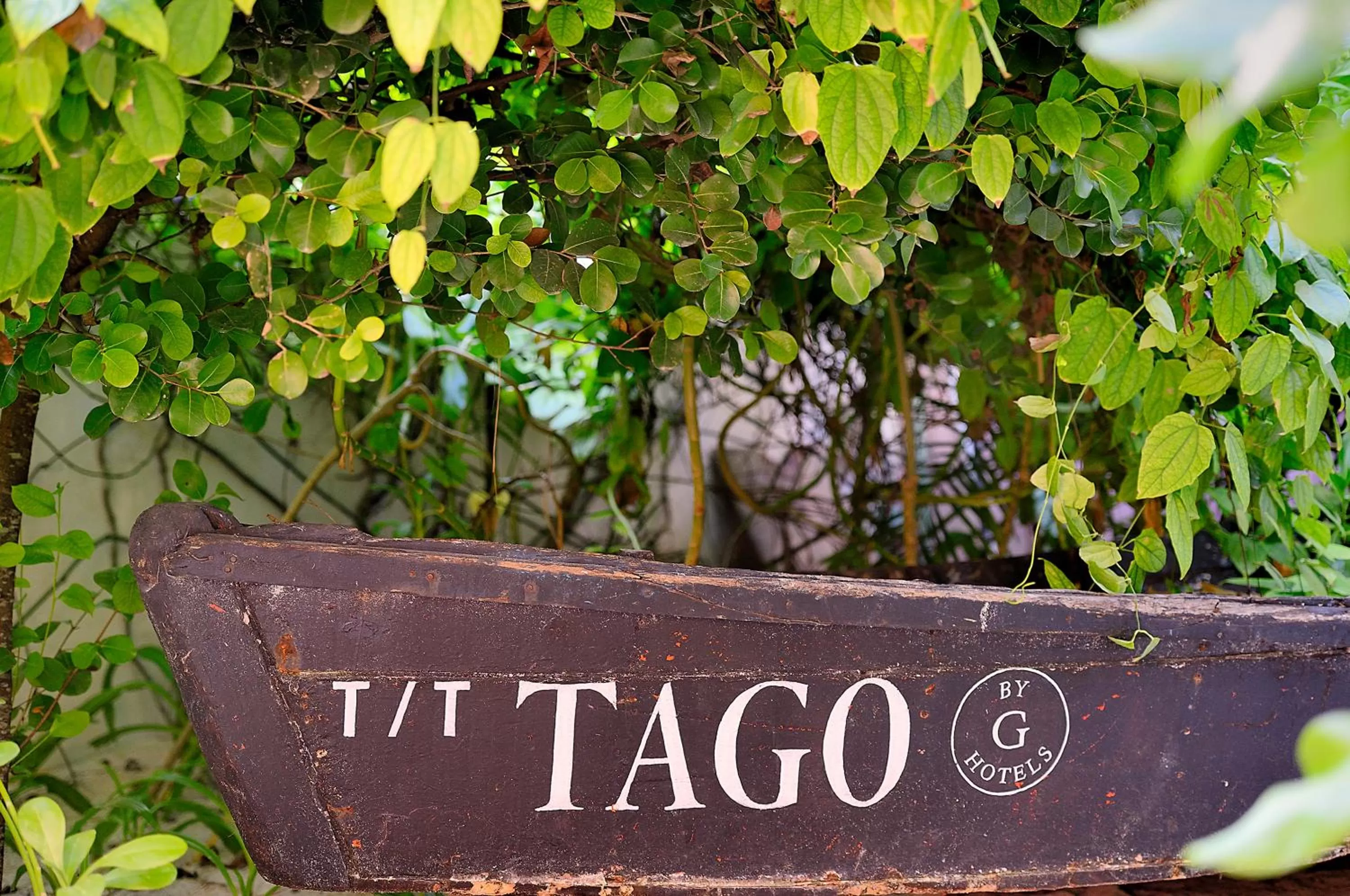 Garden in Tago Tulum by G Hotels
