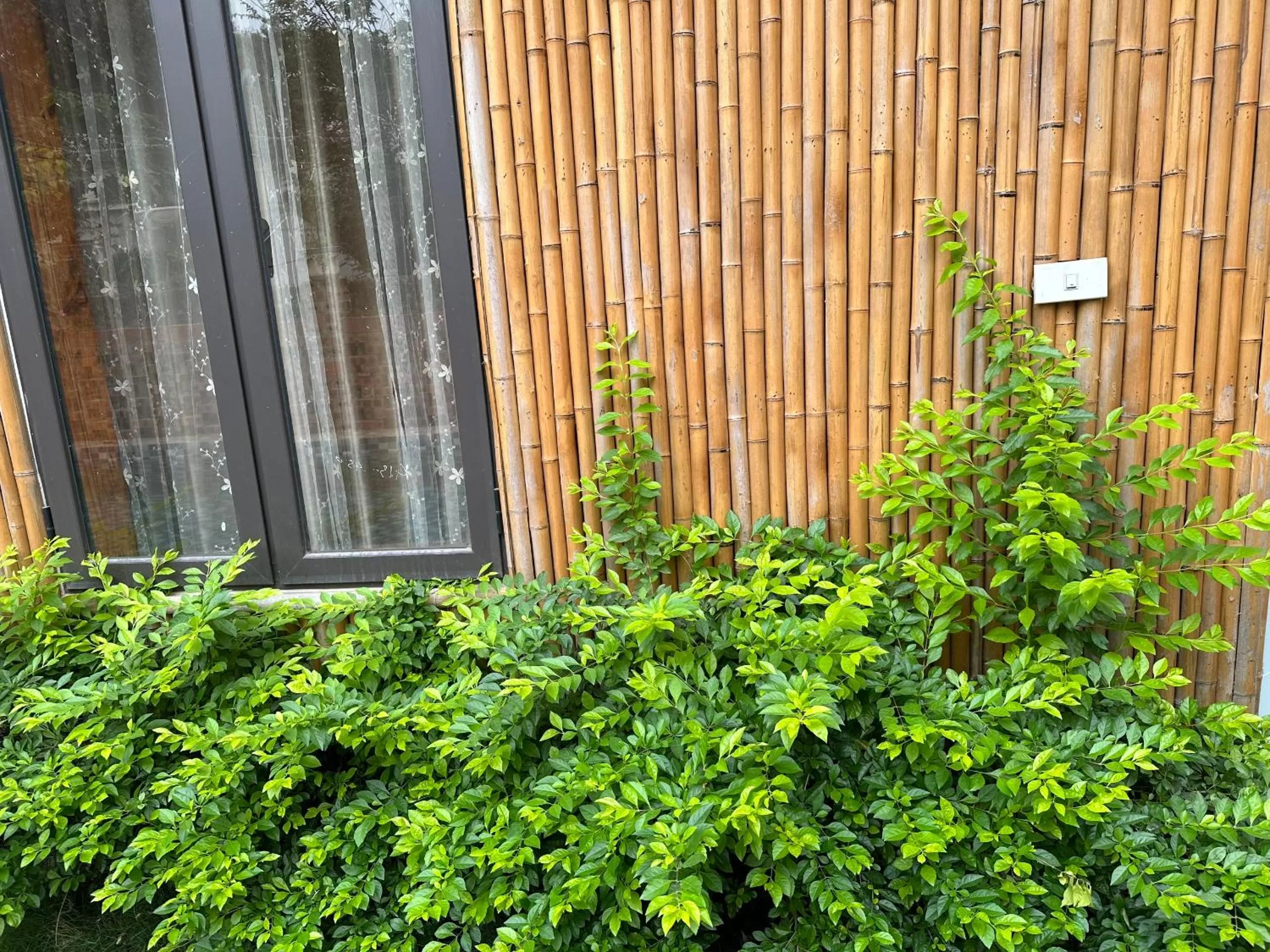 Garden in Trang An Moon Garden Homestay