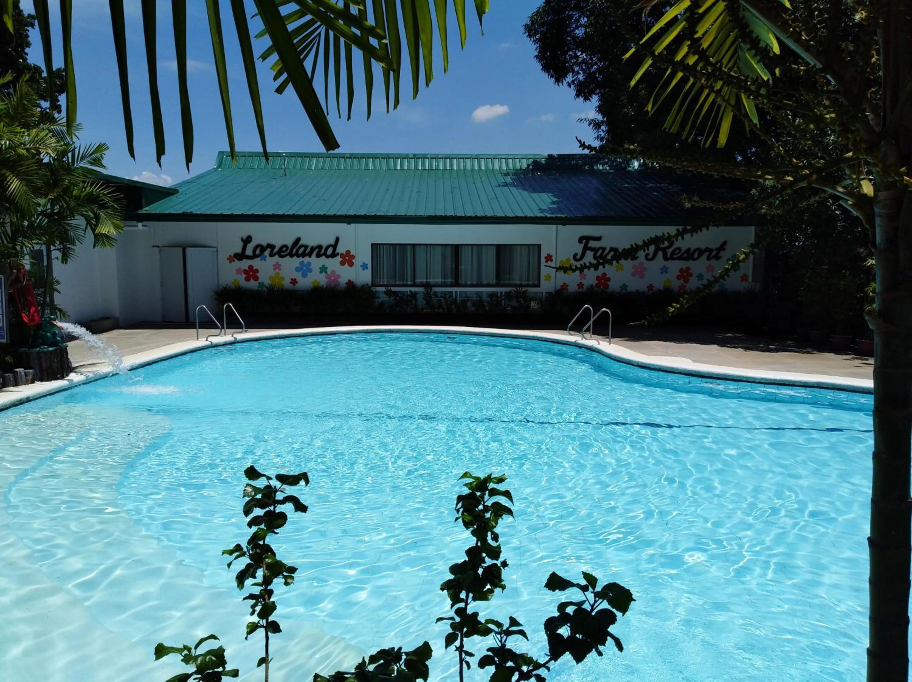 Swimming pool in Loreland Farm Resort