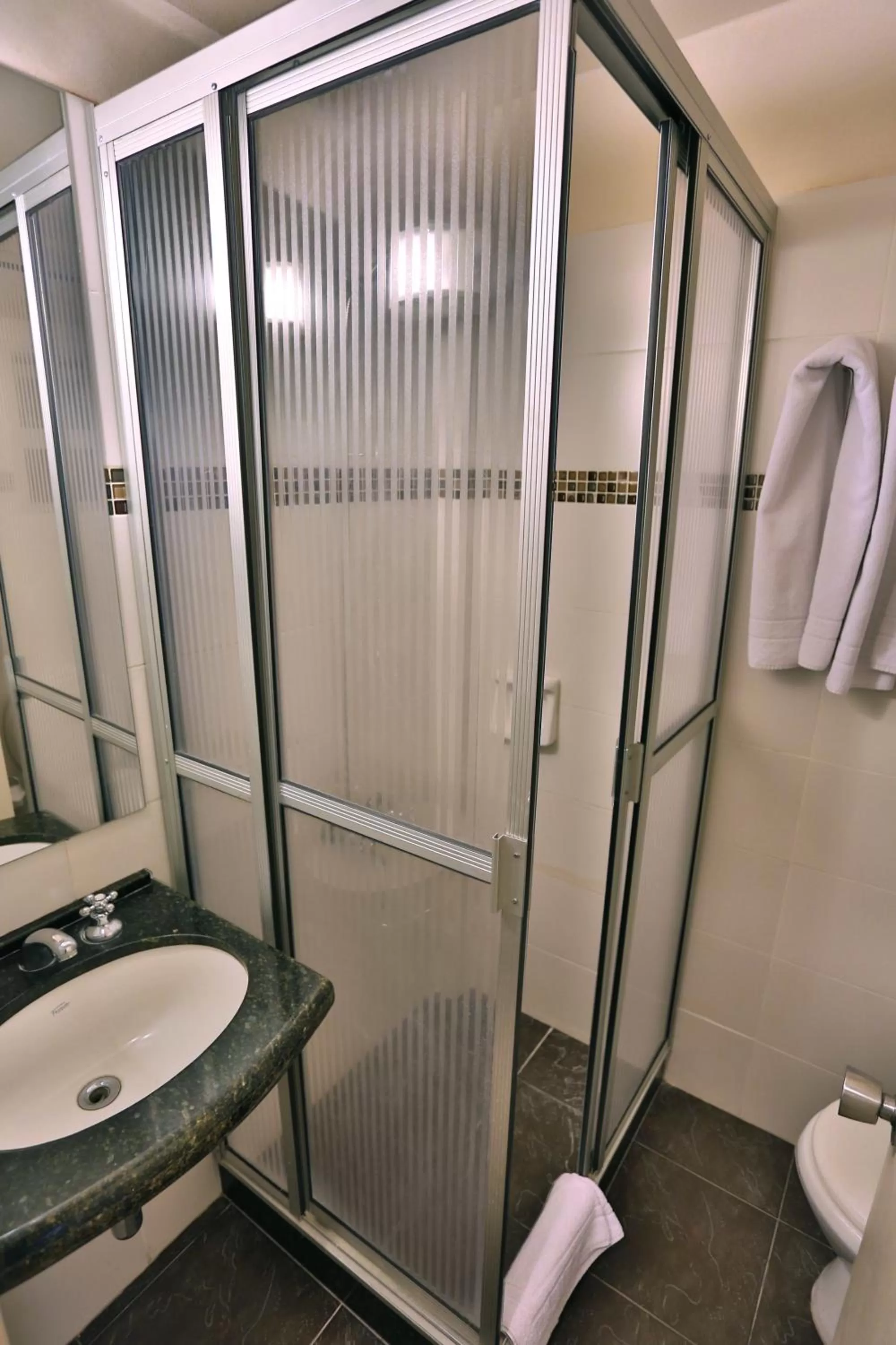 Decorative detail, Bathroom in Hotel Eldorado