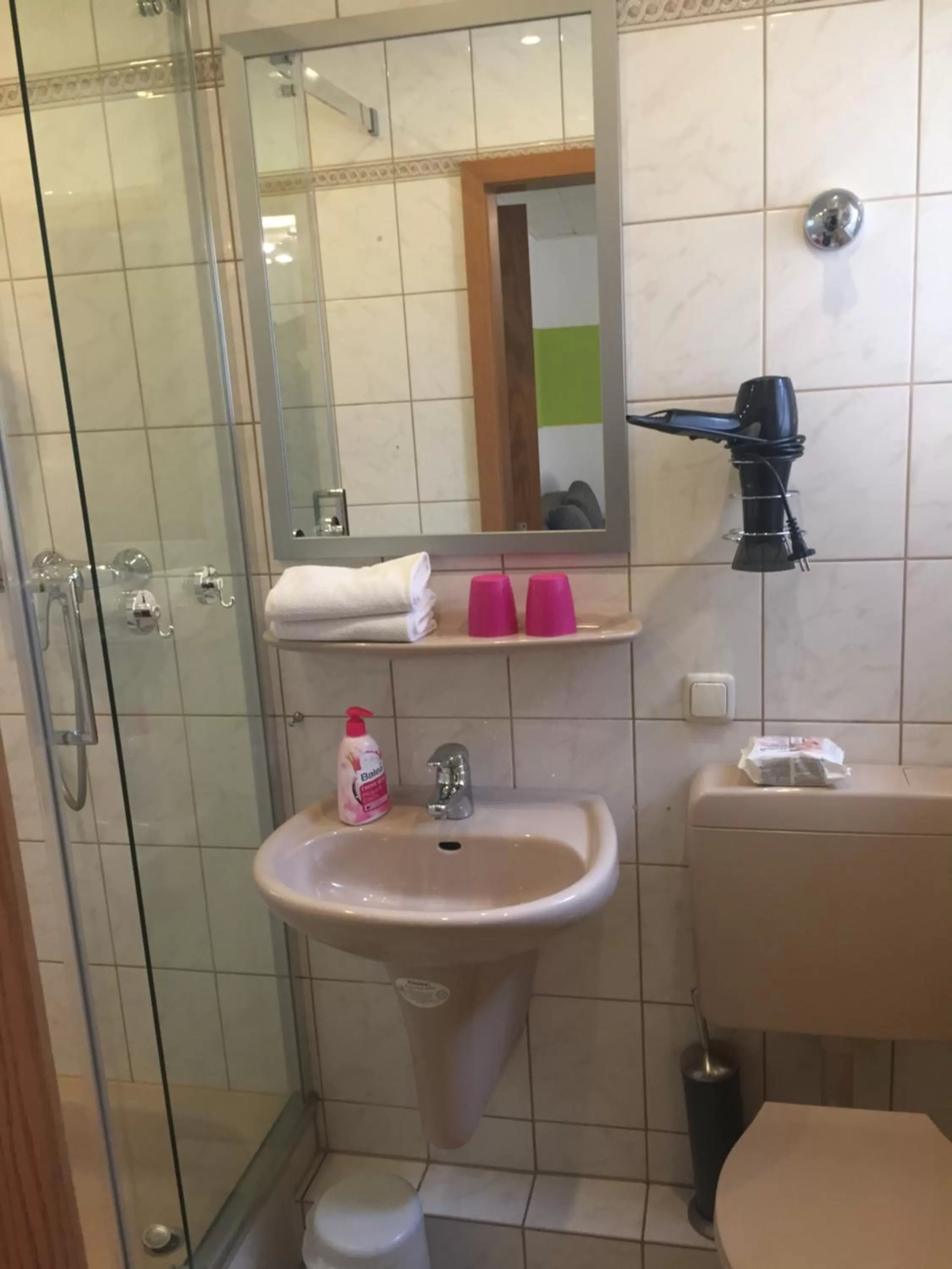 Bathroom in Bed and Breakfast - Rheingauer Hof