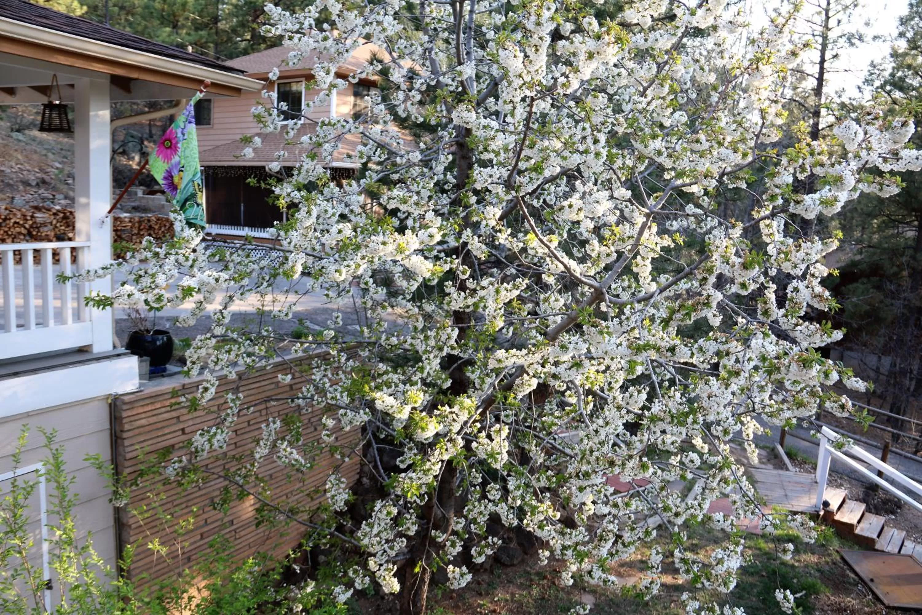 Spring in Sheridan House Inn- Adult Only Accommodation