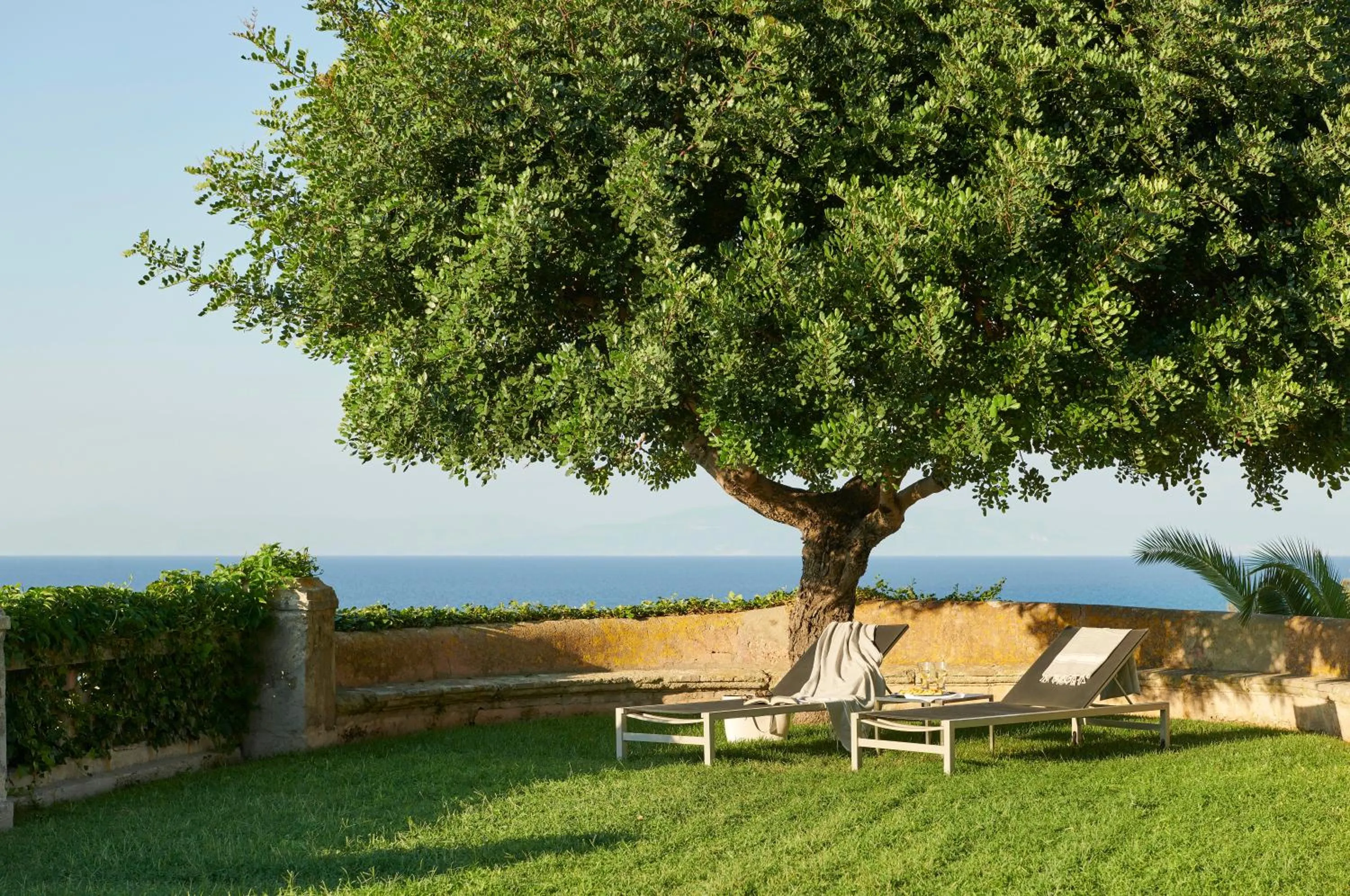 Garden in Villa Paola