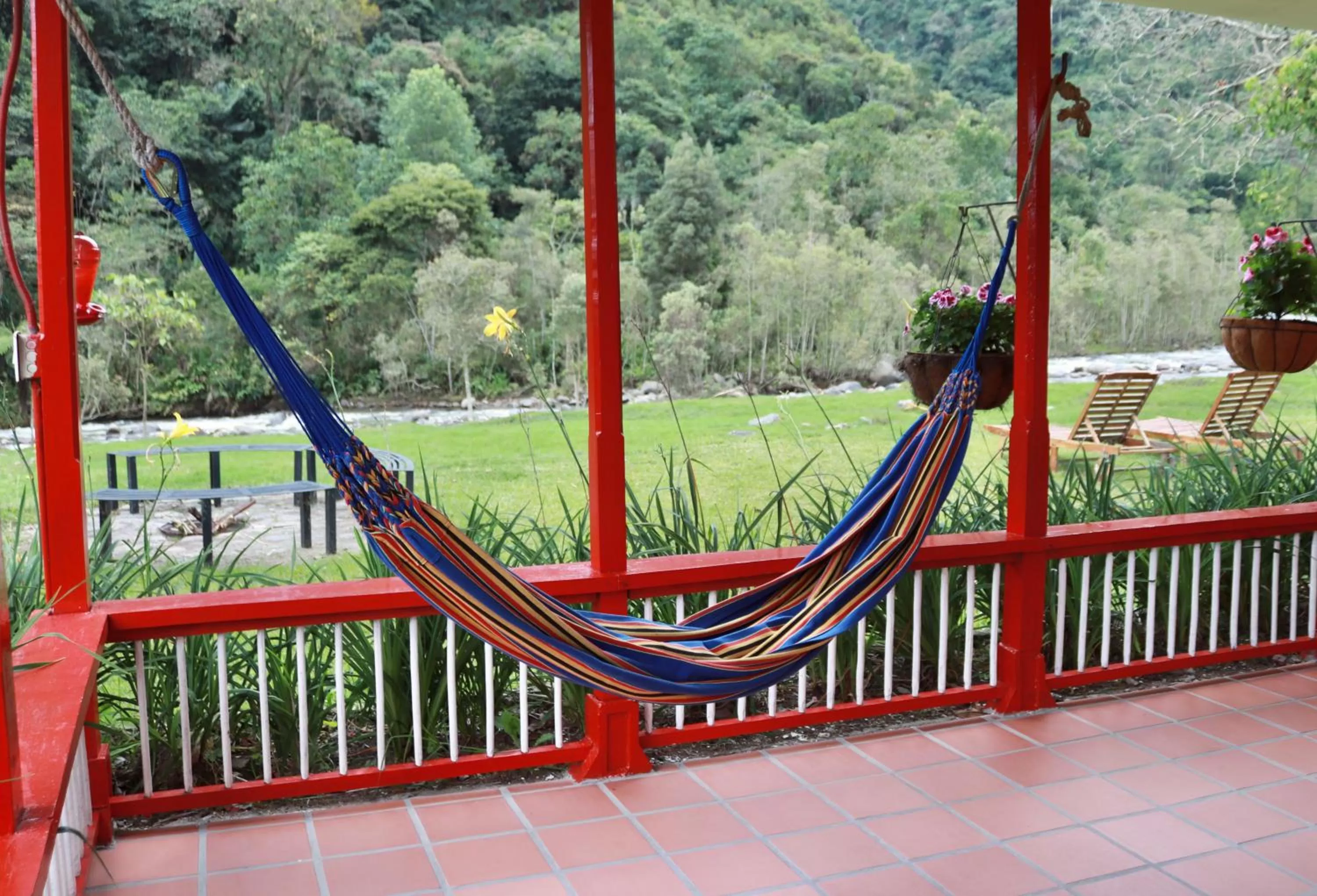 Patio, Balcony/Terrace in La Cabaña Ecohotel - Valle del Cocora