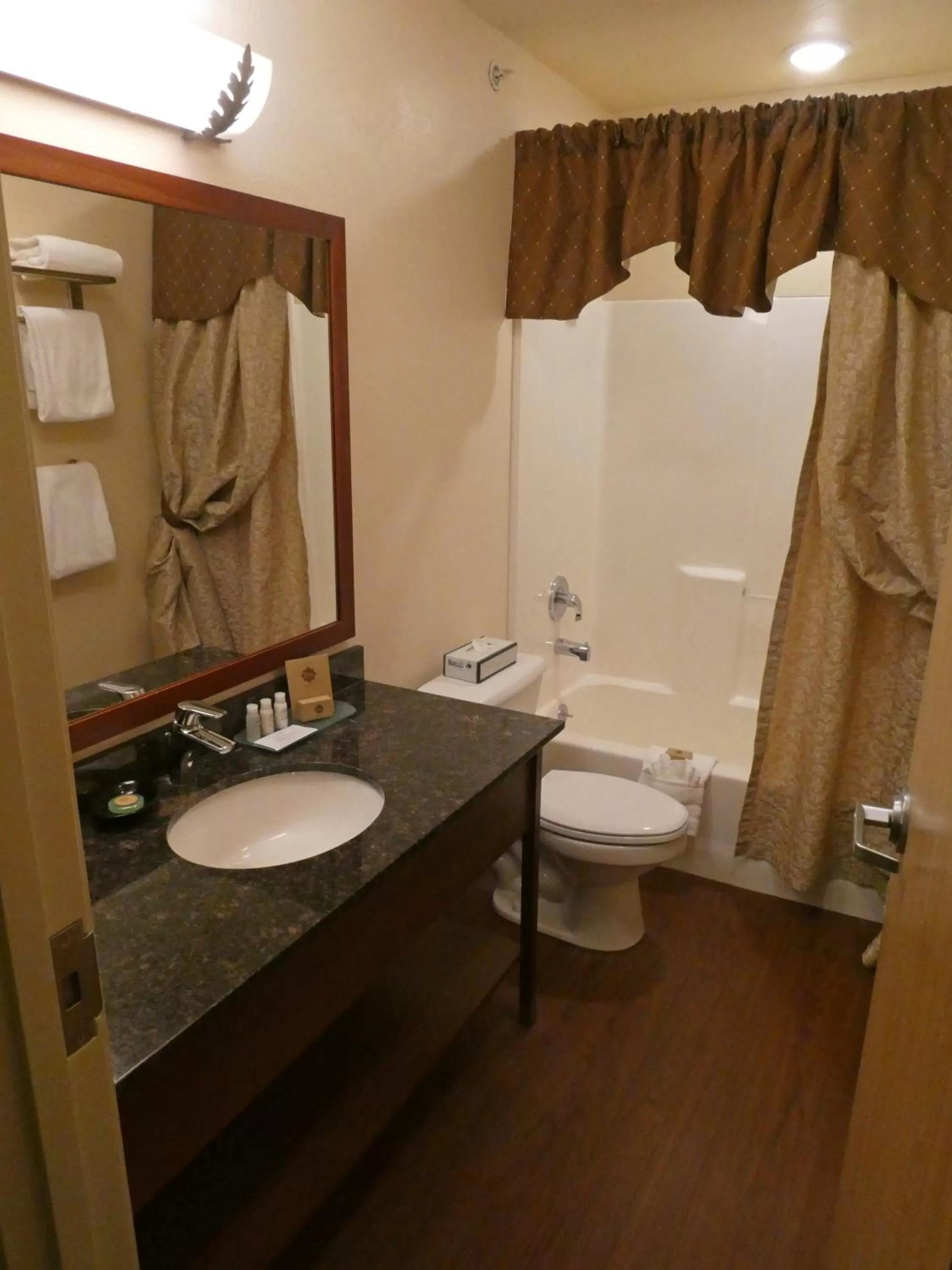 Toilet in Pike's Waterfront Lodge