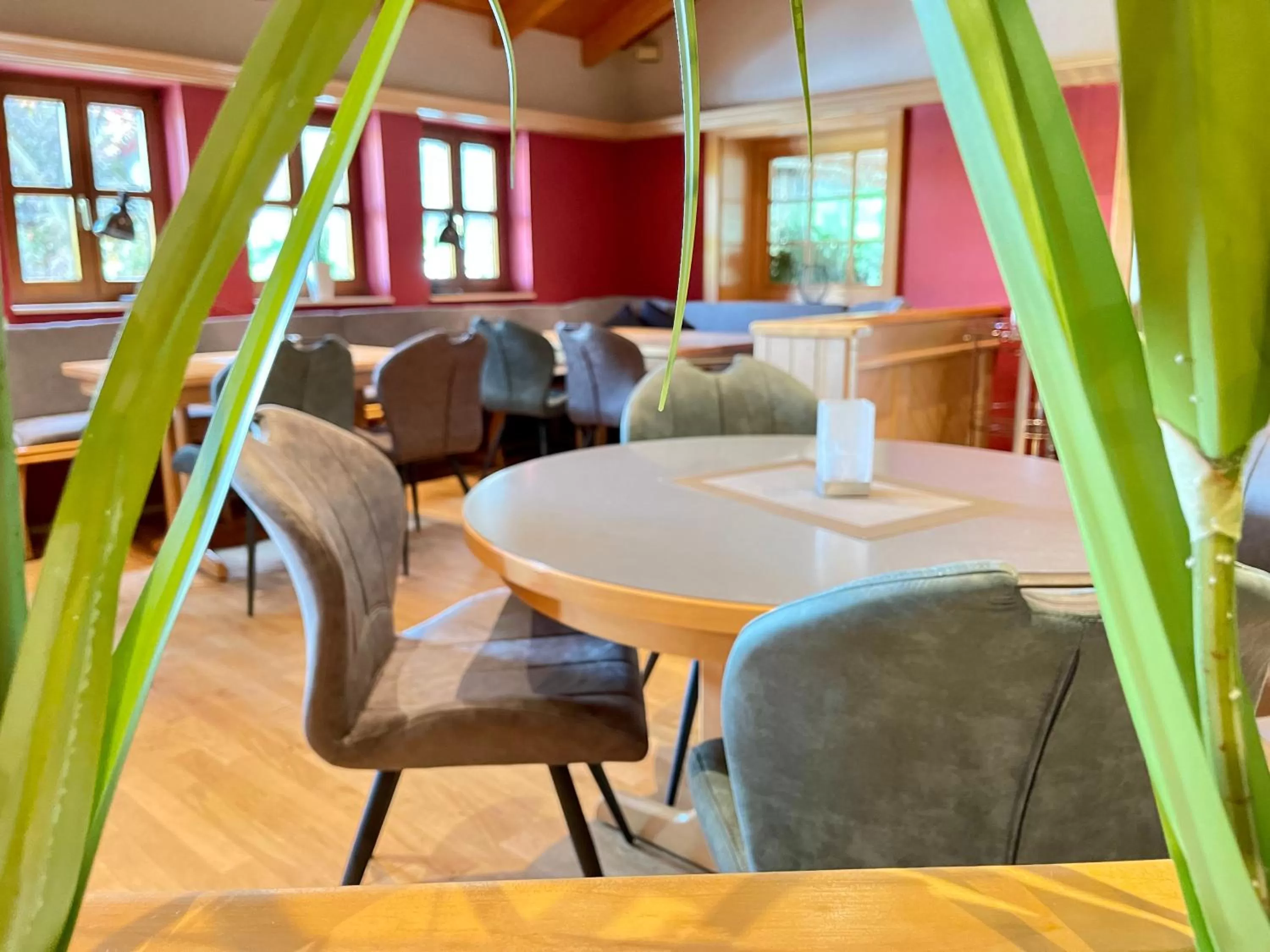 Restaurant/places to eat in Maifeld Sport- und Tagungshotel