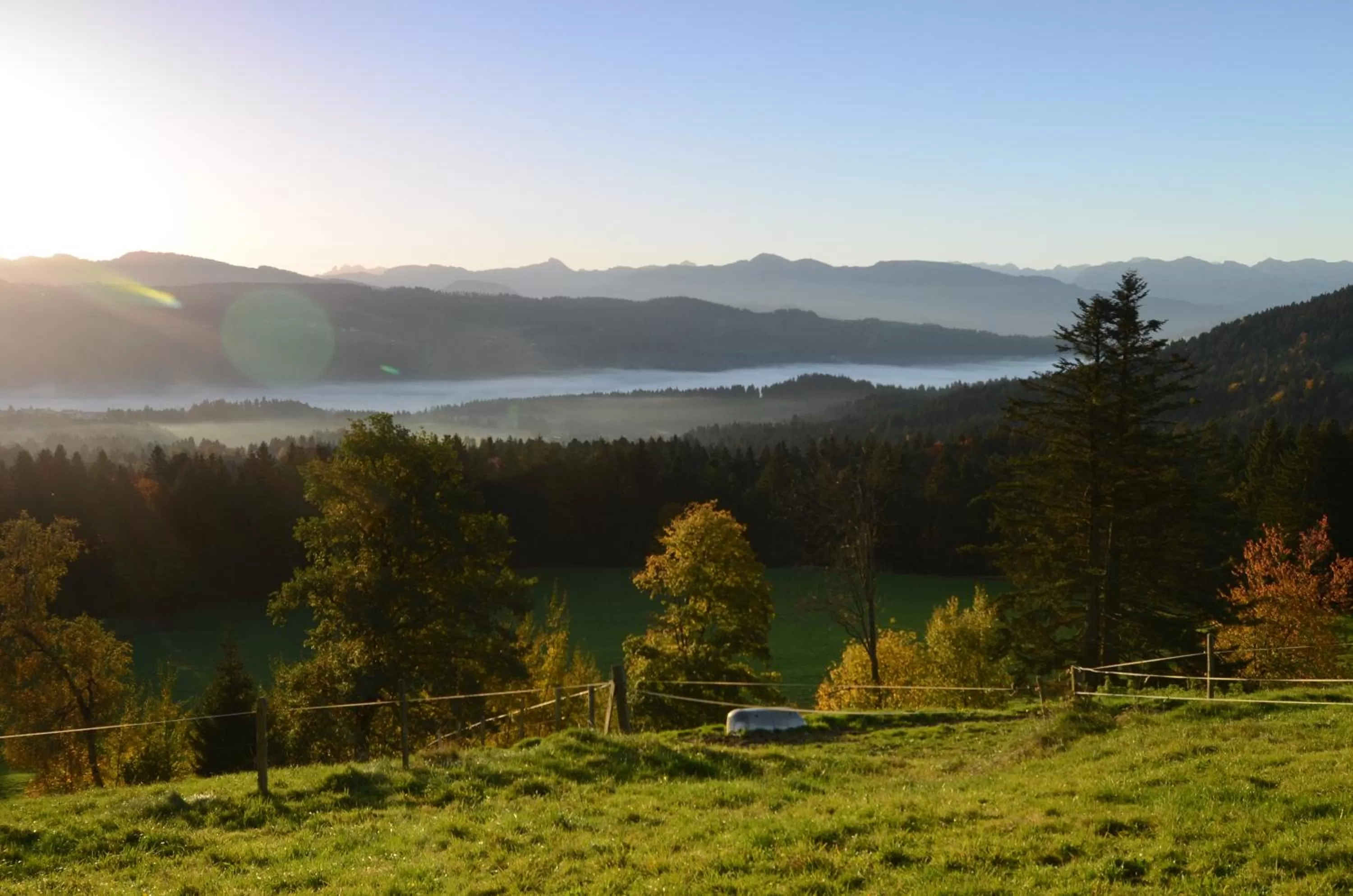 Natural landscape in Hotel Post - regionales großes Frühstücksbuffet - auch GF & LF