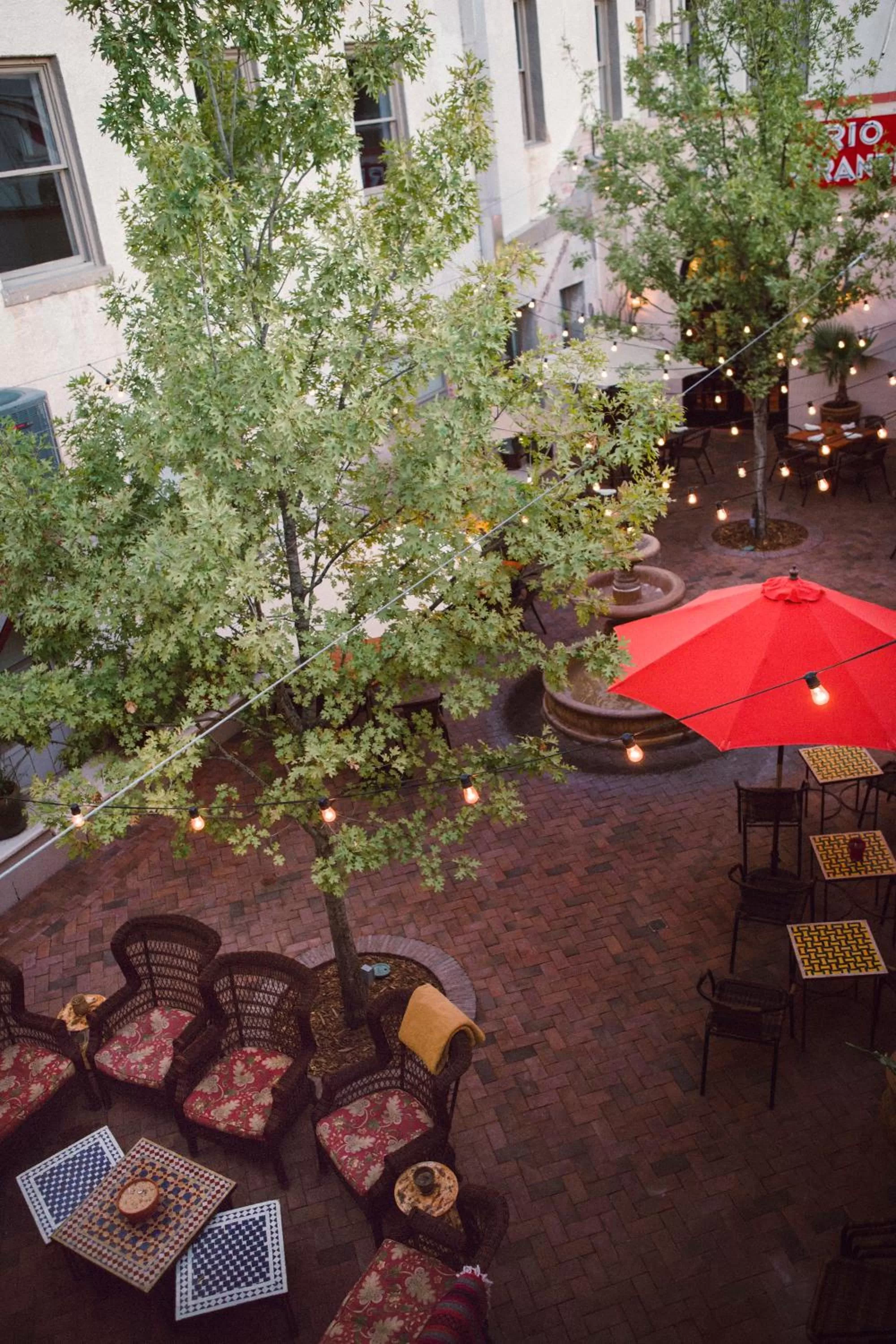 Garden in The Holland Hotel