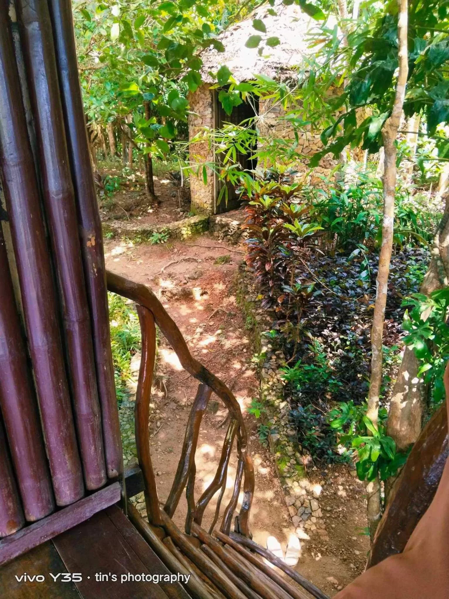 Sanctuaria Treehouses Busuanga