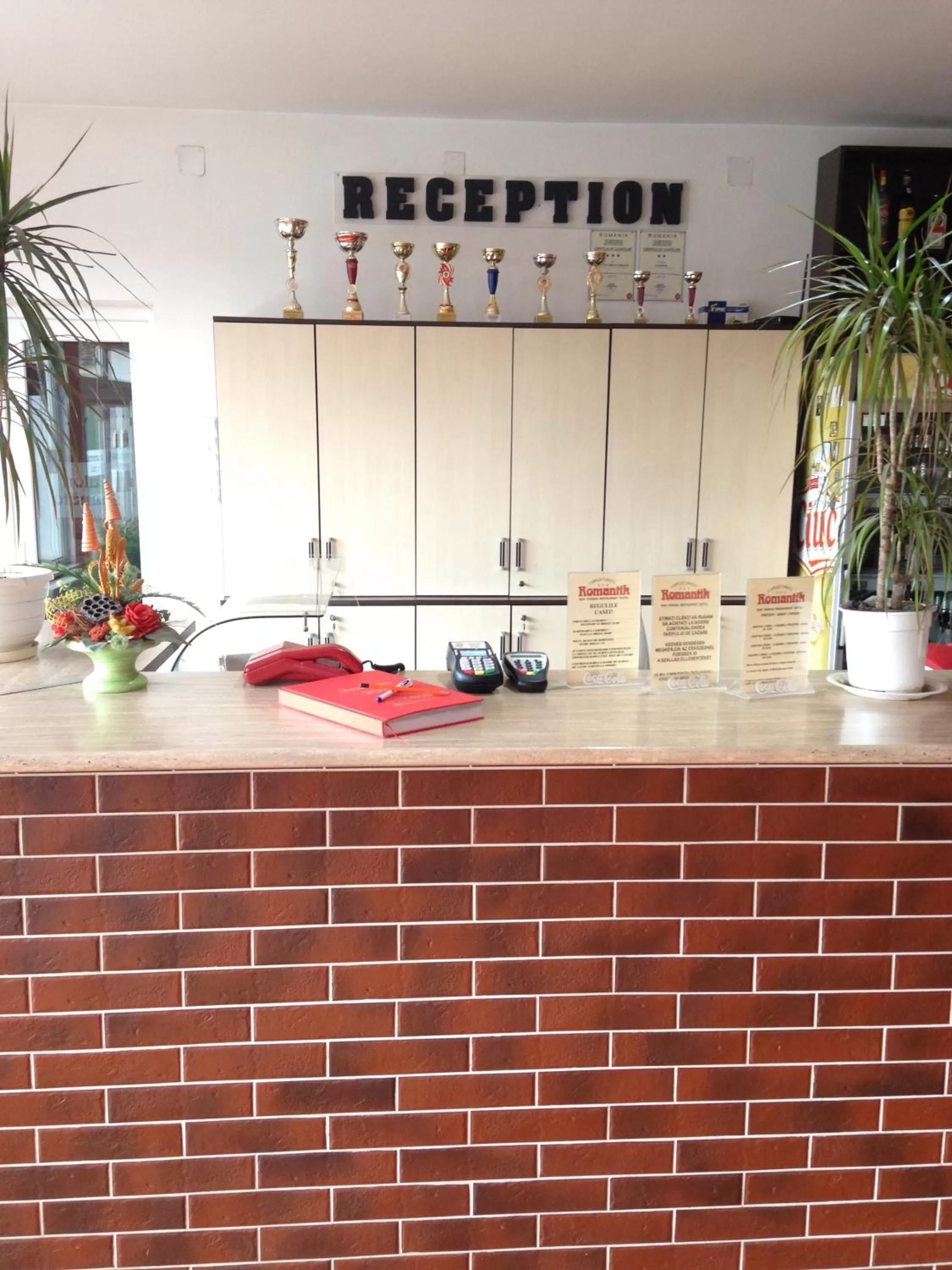 Lobby or reception, Swimming Pool in Hotel Romantik