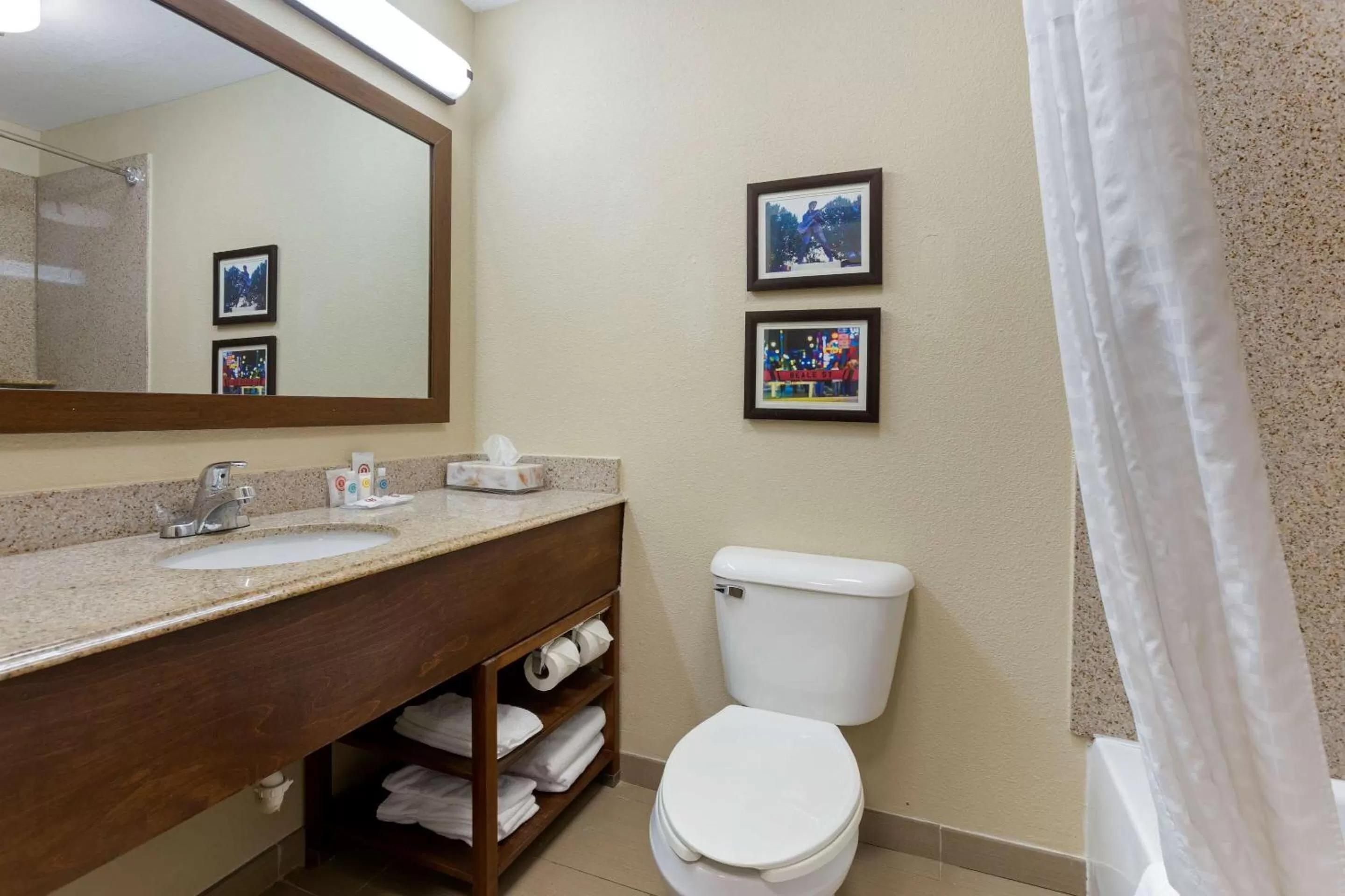 Bathroom in Comfort Inn Marion - West Memphis