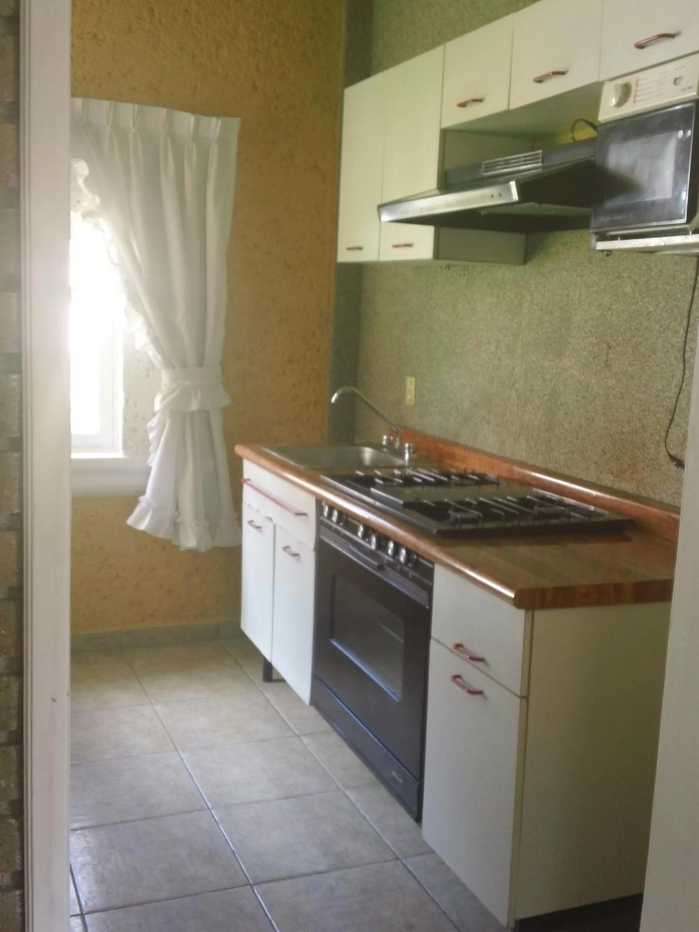 Kitchen or kitchenette in Hotel Villa Monarca Inn