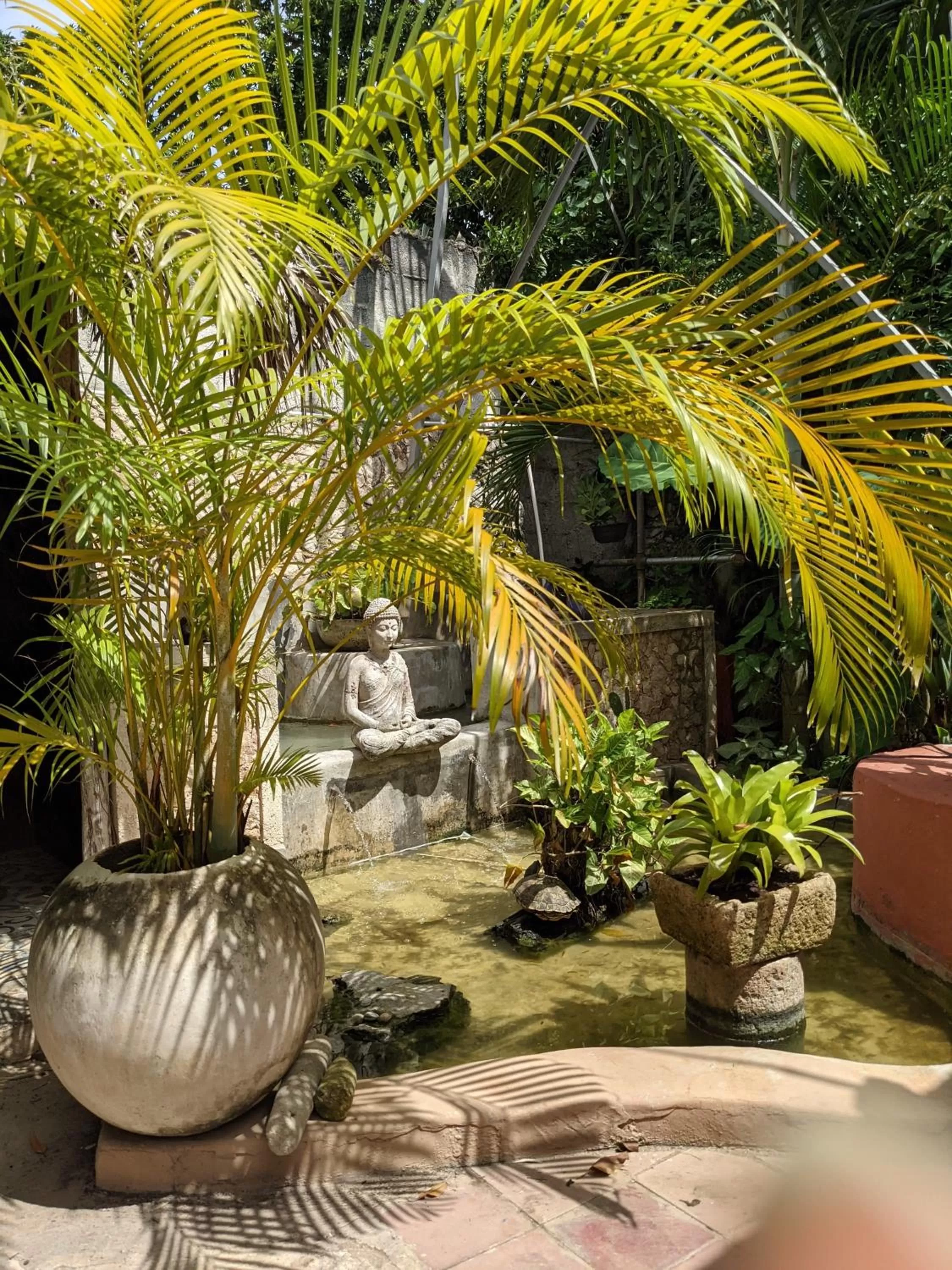 Property building in Casa Aluxes Hotel