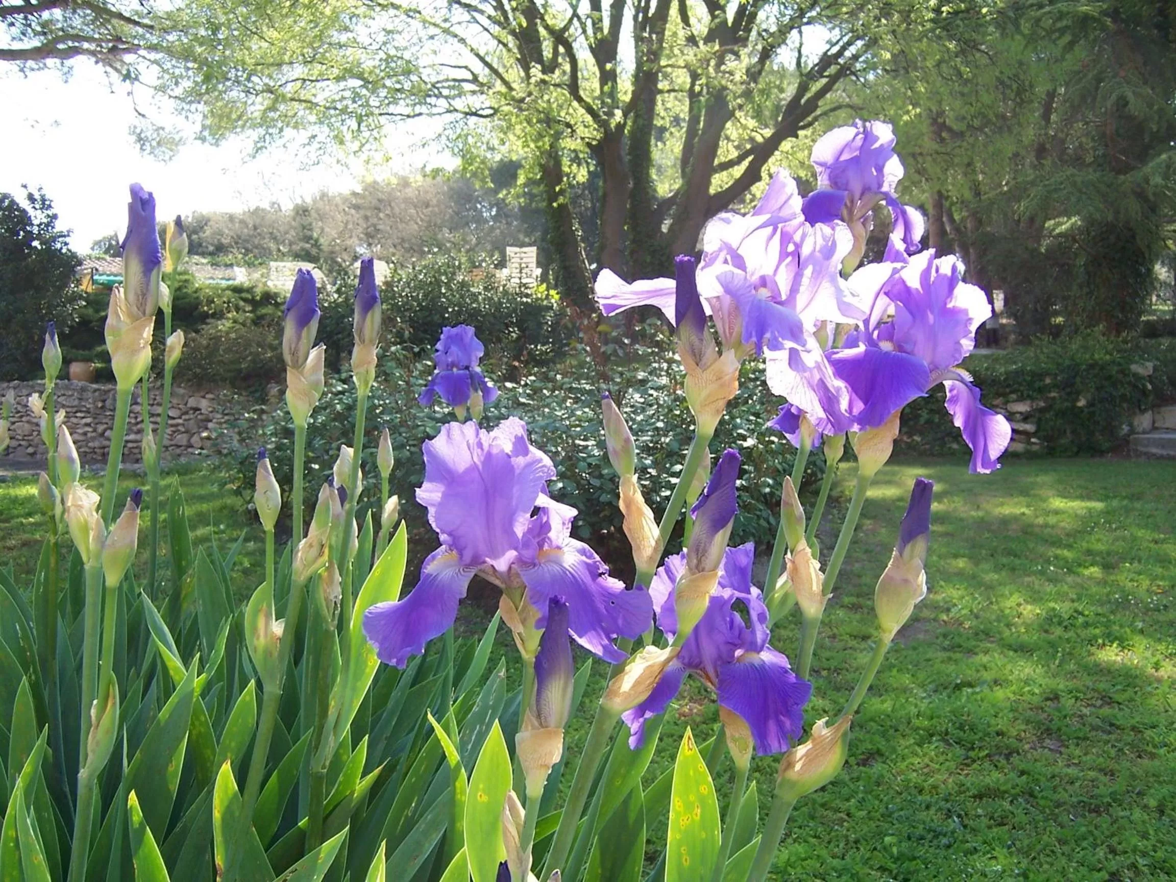 Facade/entrance in Best Western Le Val Majour