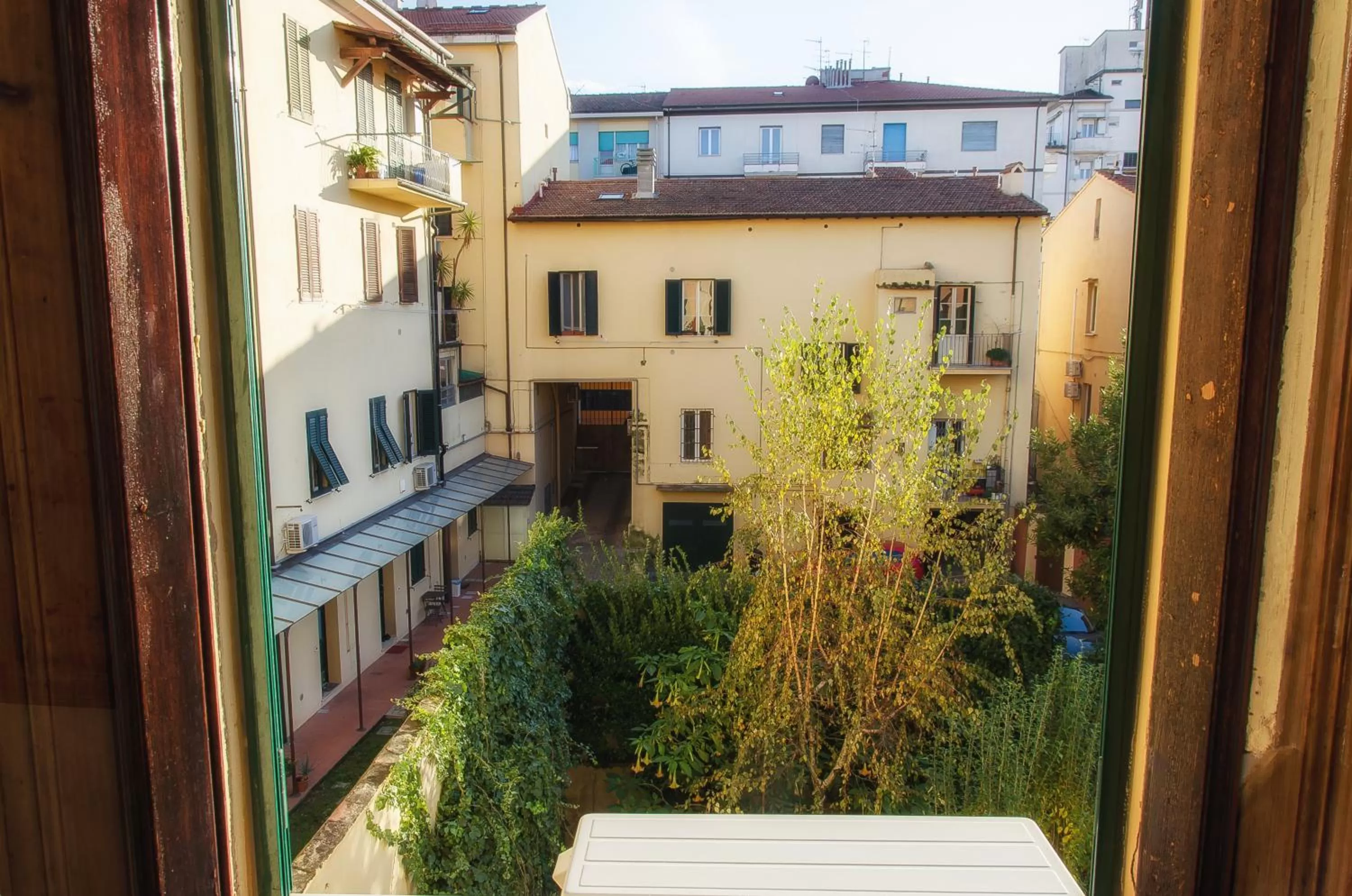 Garden in Villa Gini