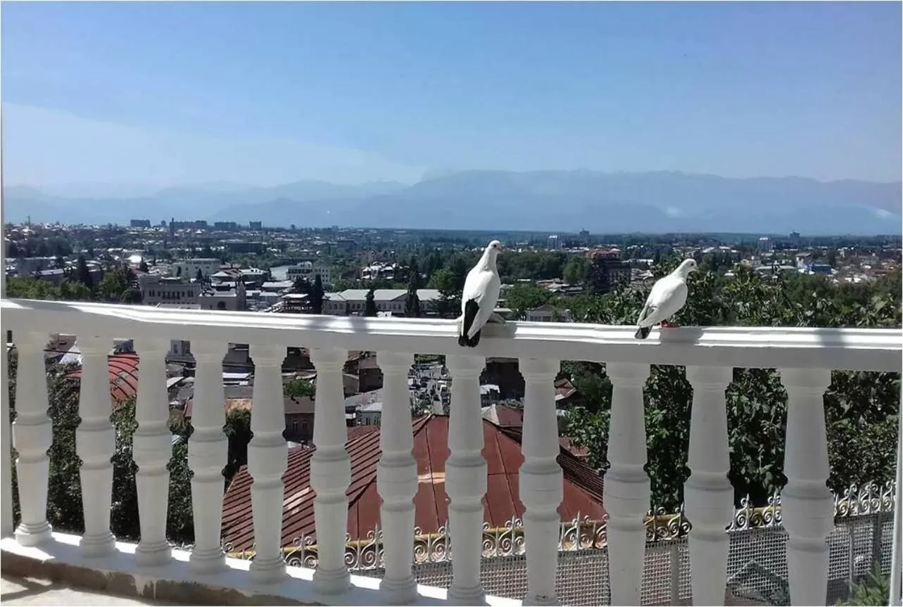 Balcony/Terrace in Hotel Eurica