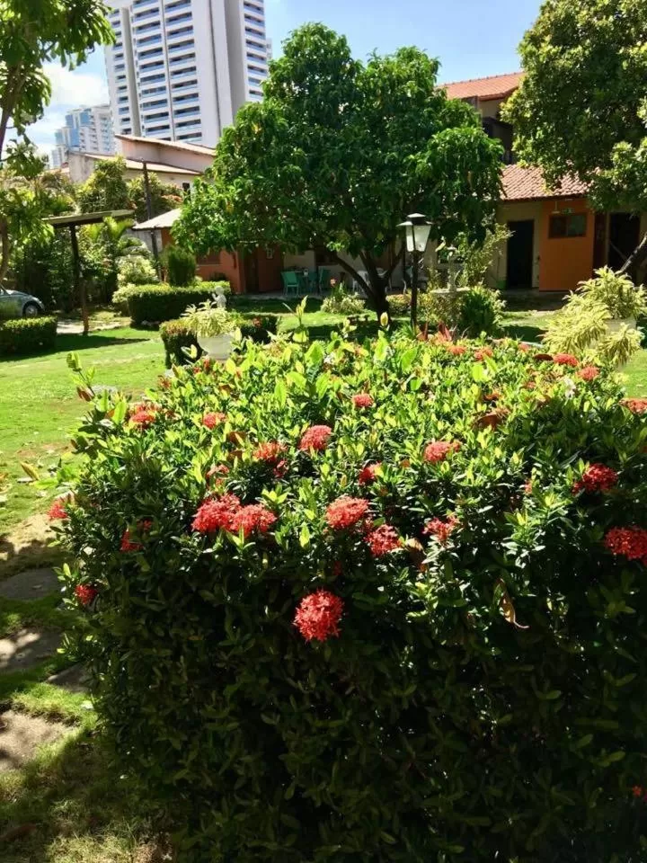 Garden in Hotel Jardim