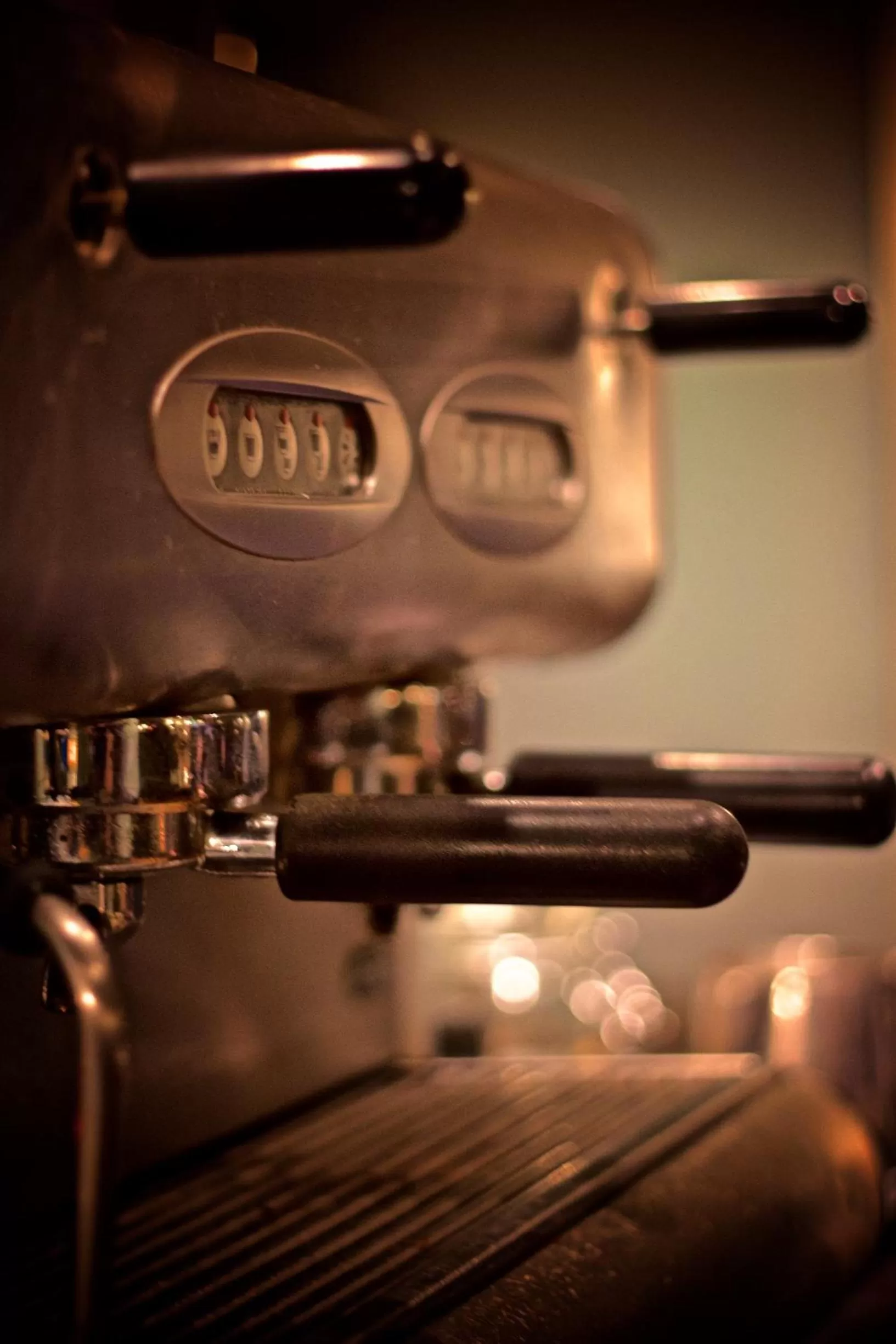 Other in Dog House by Chef & Brewer Collection