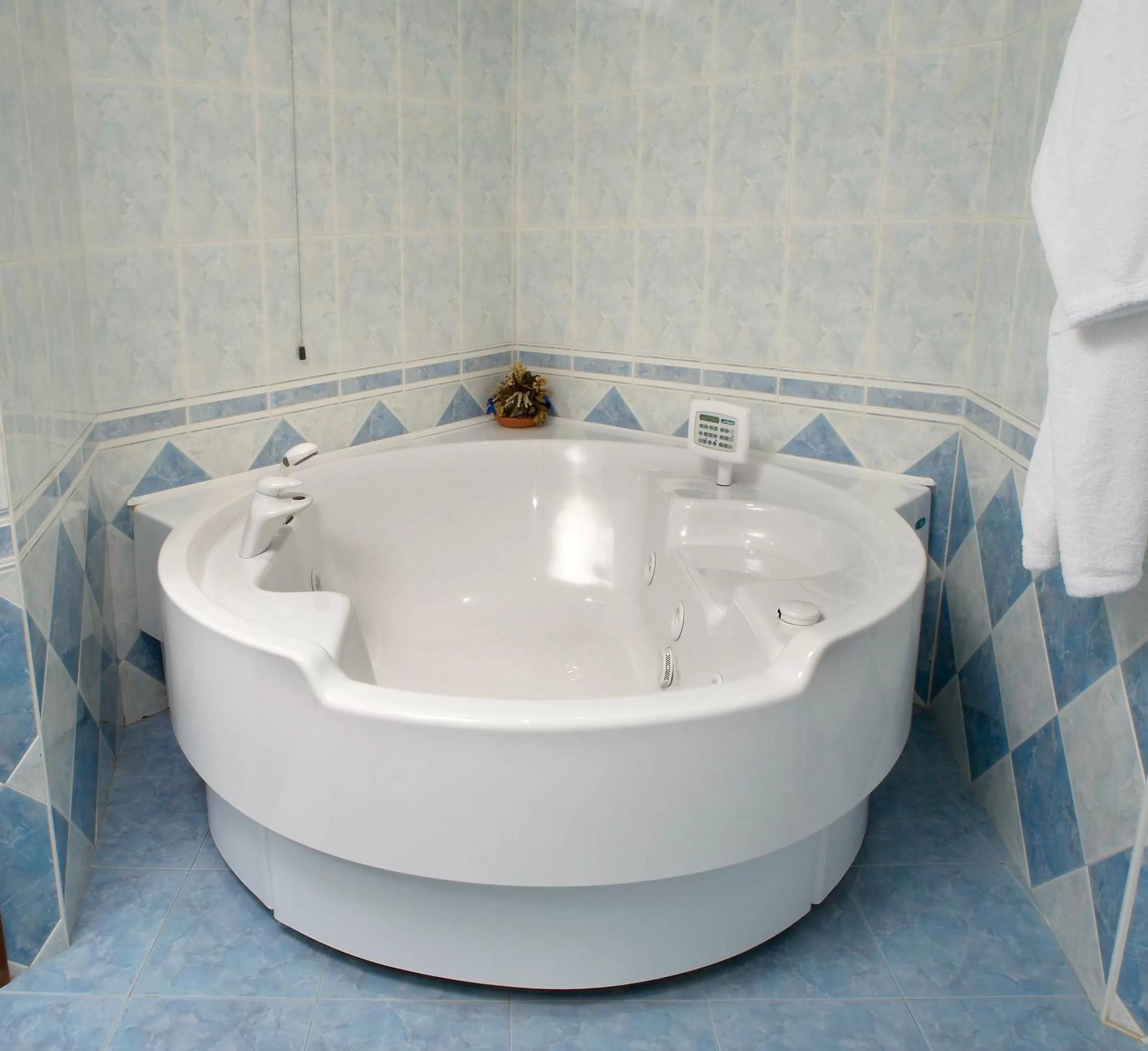 Hot Tub in Best Western Hotel Tre Torri