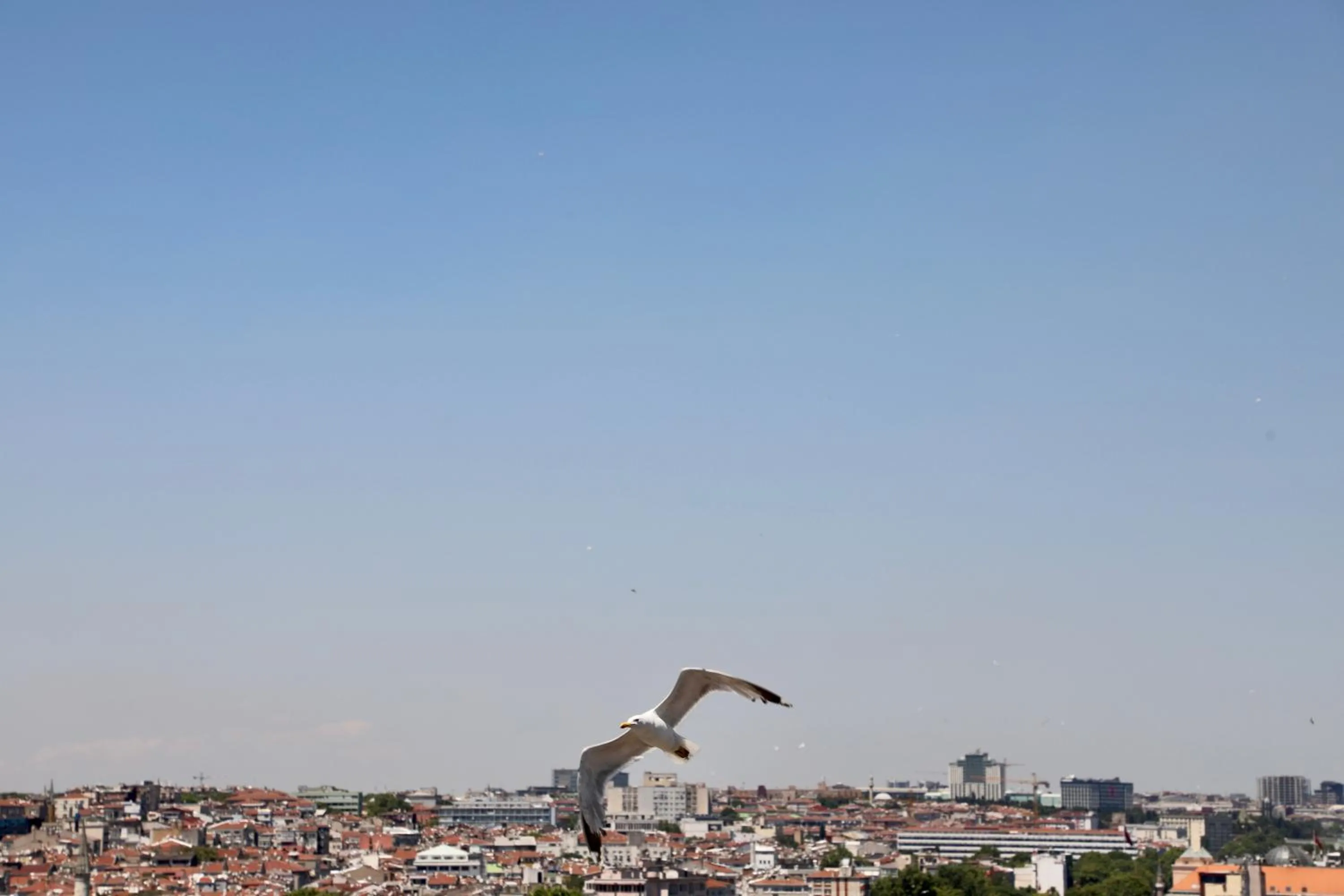 Day in Istanbul Royal Hotel