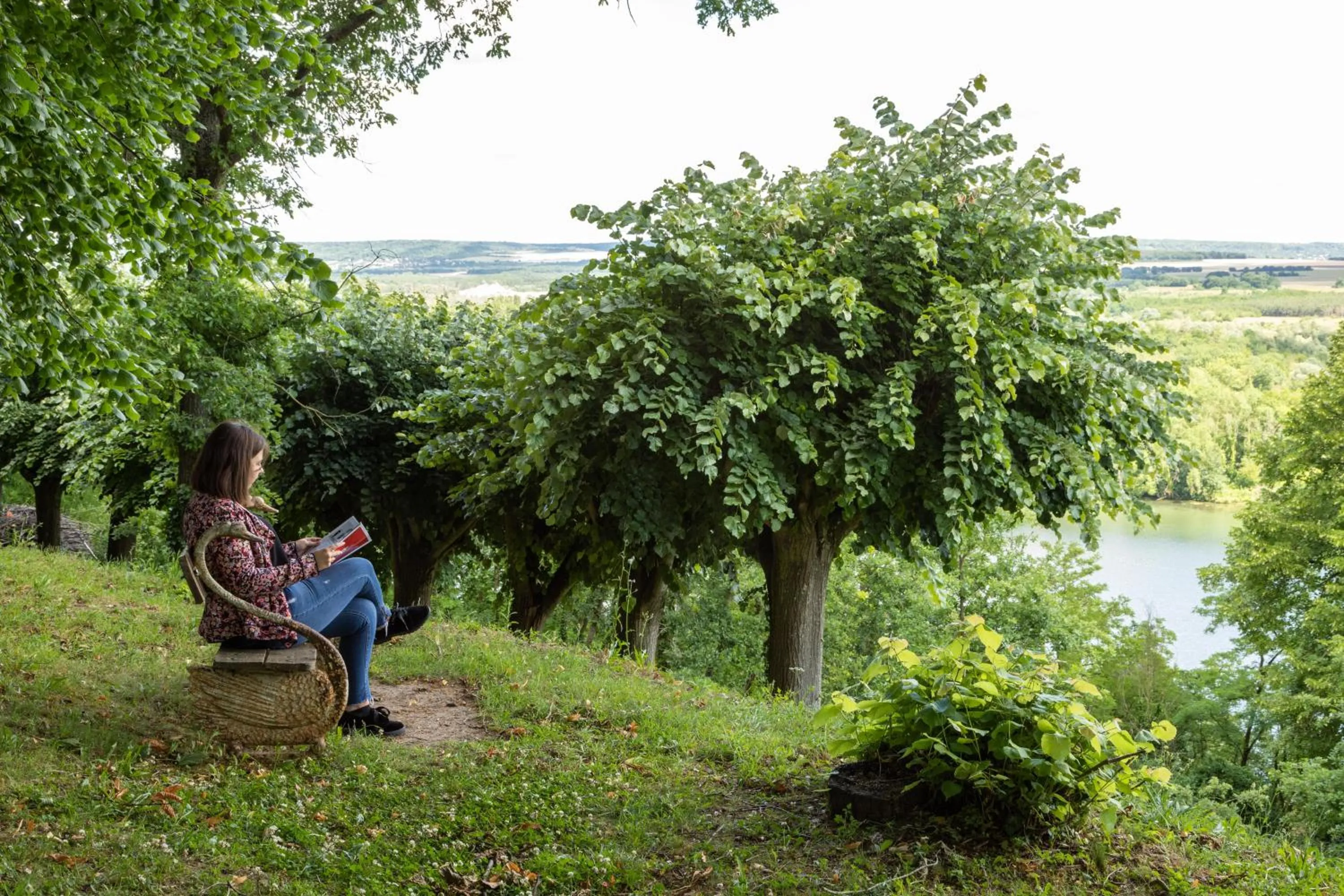 Garden in Domaine De La Corniche