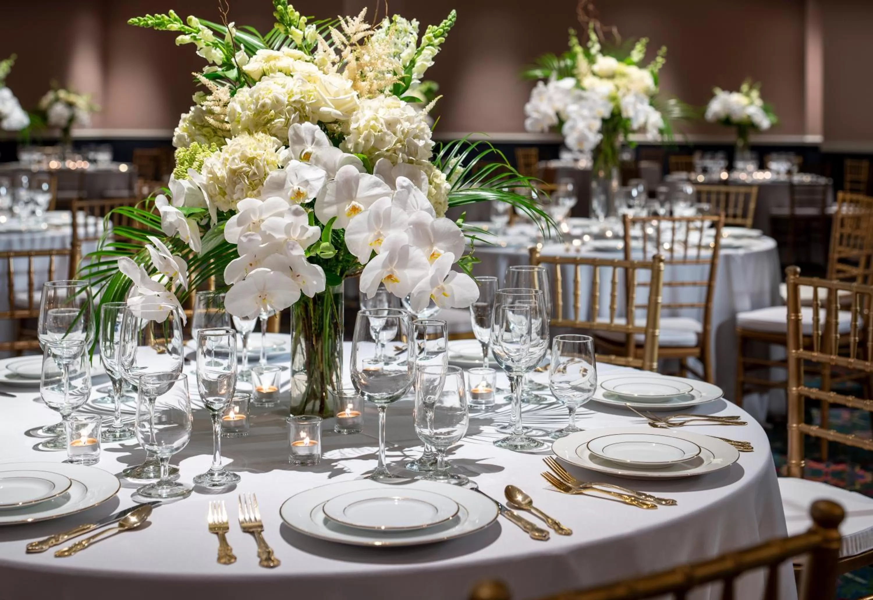 Banquet/Function facilities in Graduate by Hilton Fayetteville, AR