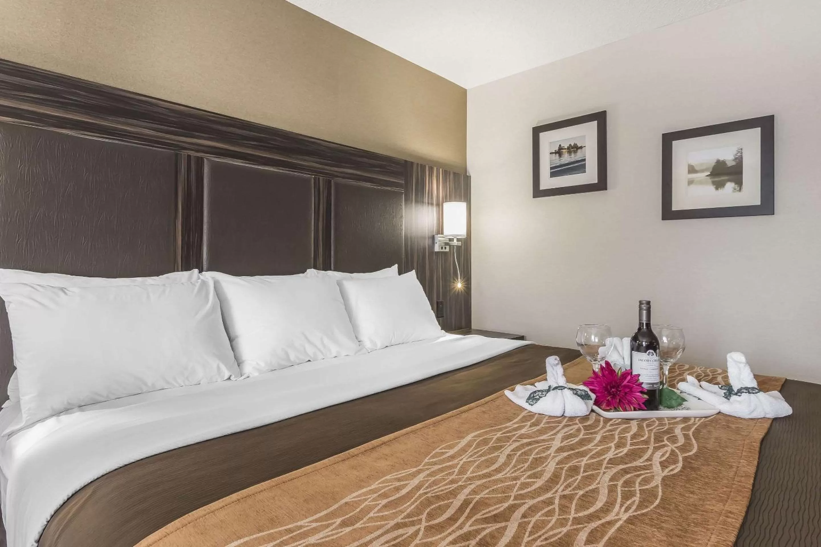 Photo of the whole room, Bed in Comfort Inn Trenton