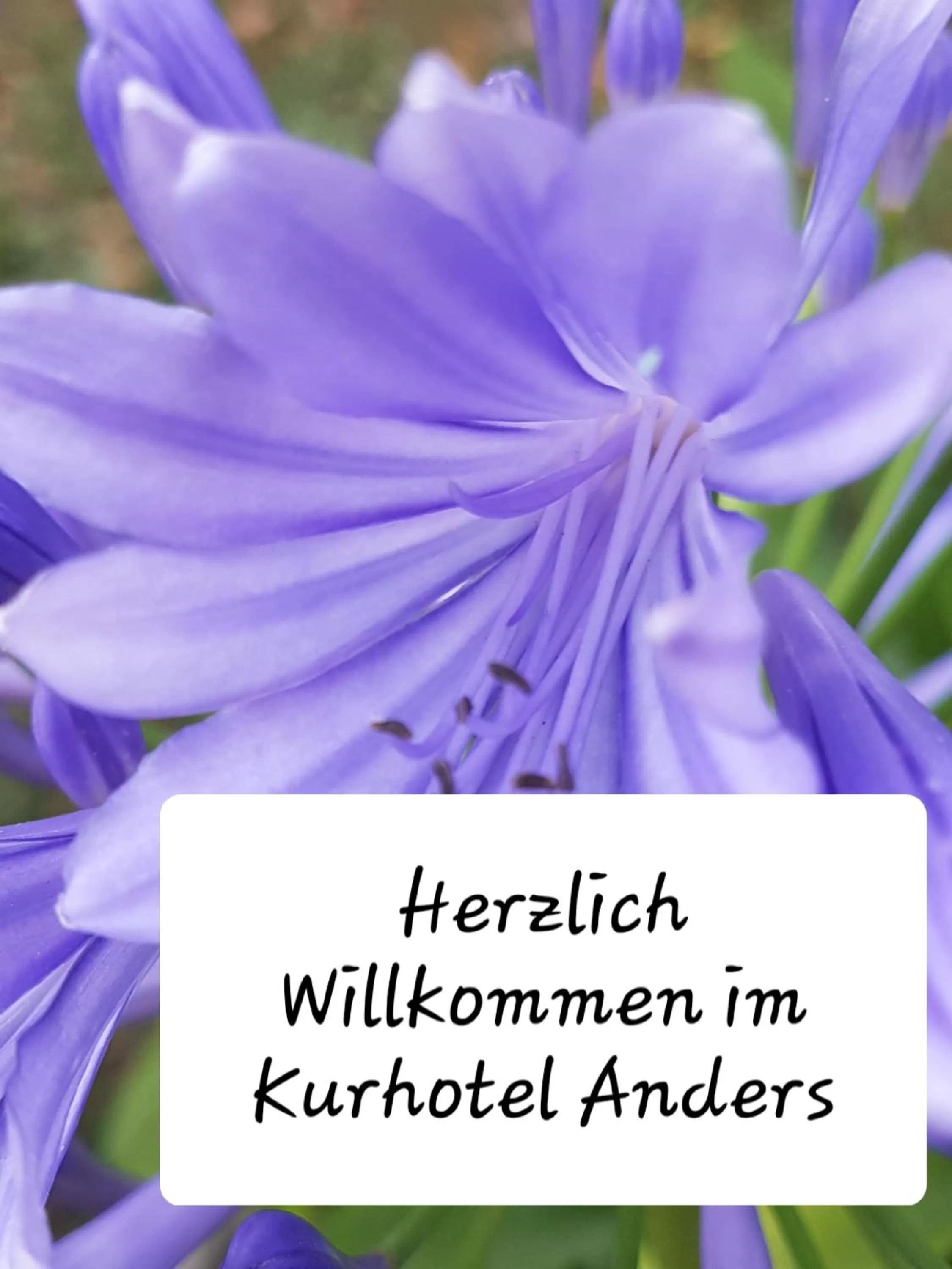 Property logo or sign in Kurhotel Anders