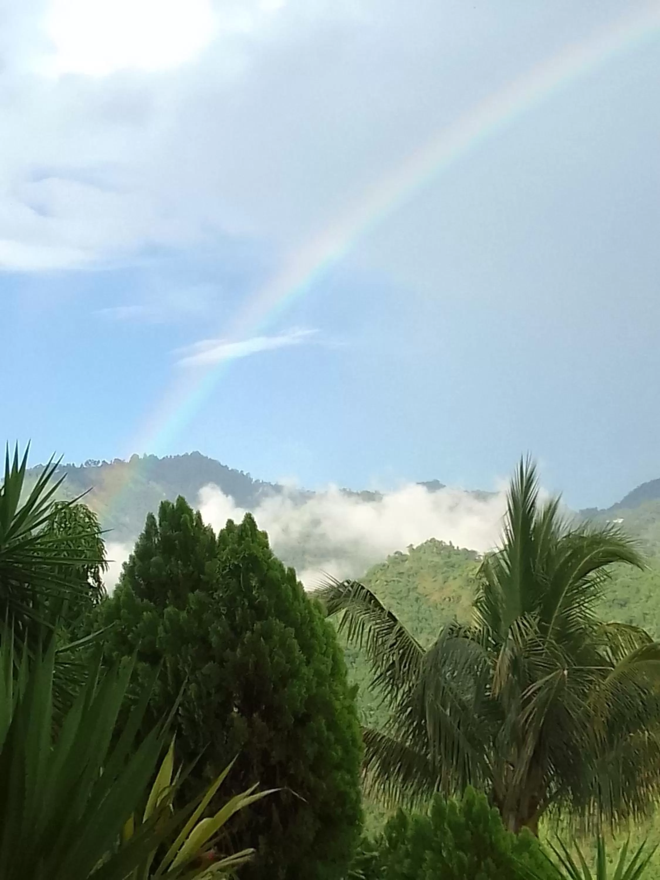 Day, Mountain View in Tranquility Estate