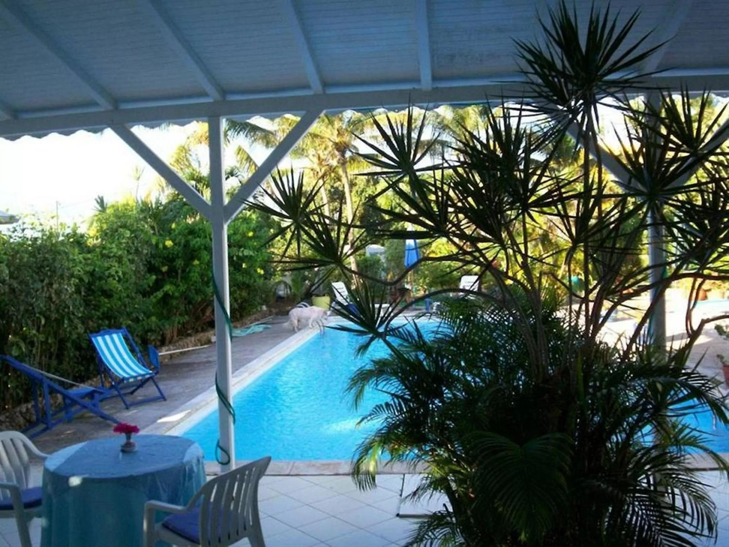 Day in Hotel Cap Sud Caraibes