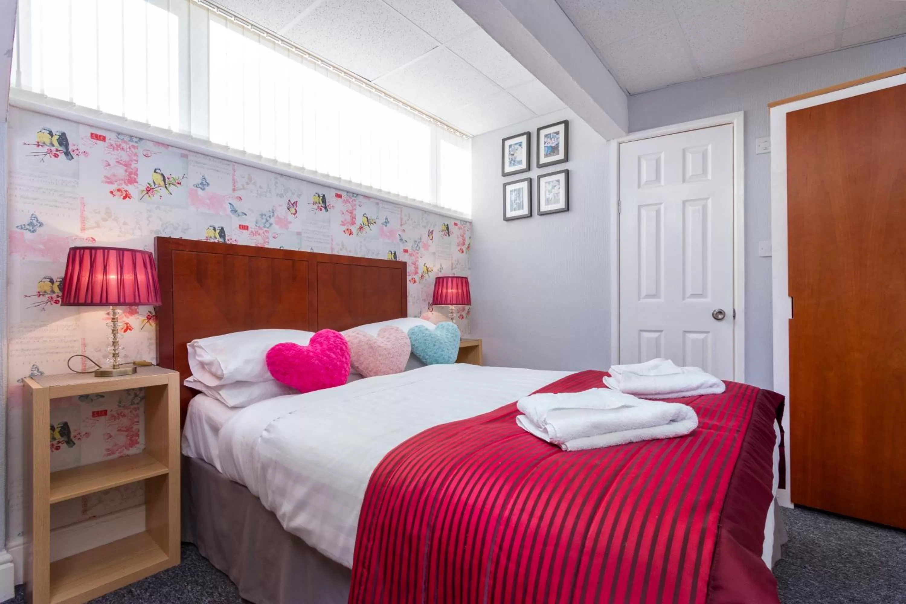 Bed in Adelaide Lodge - Town Centre - Opposite Winter Gardens