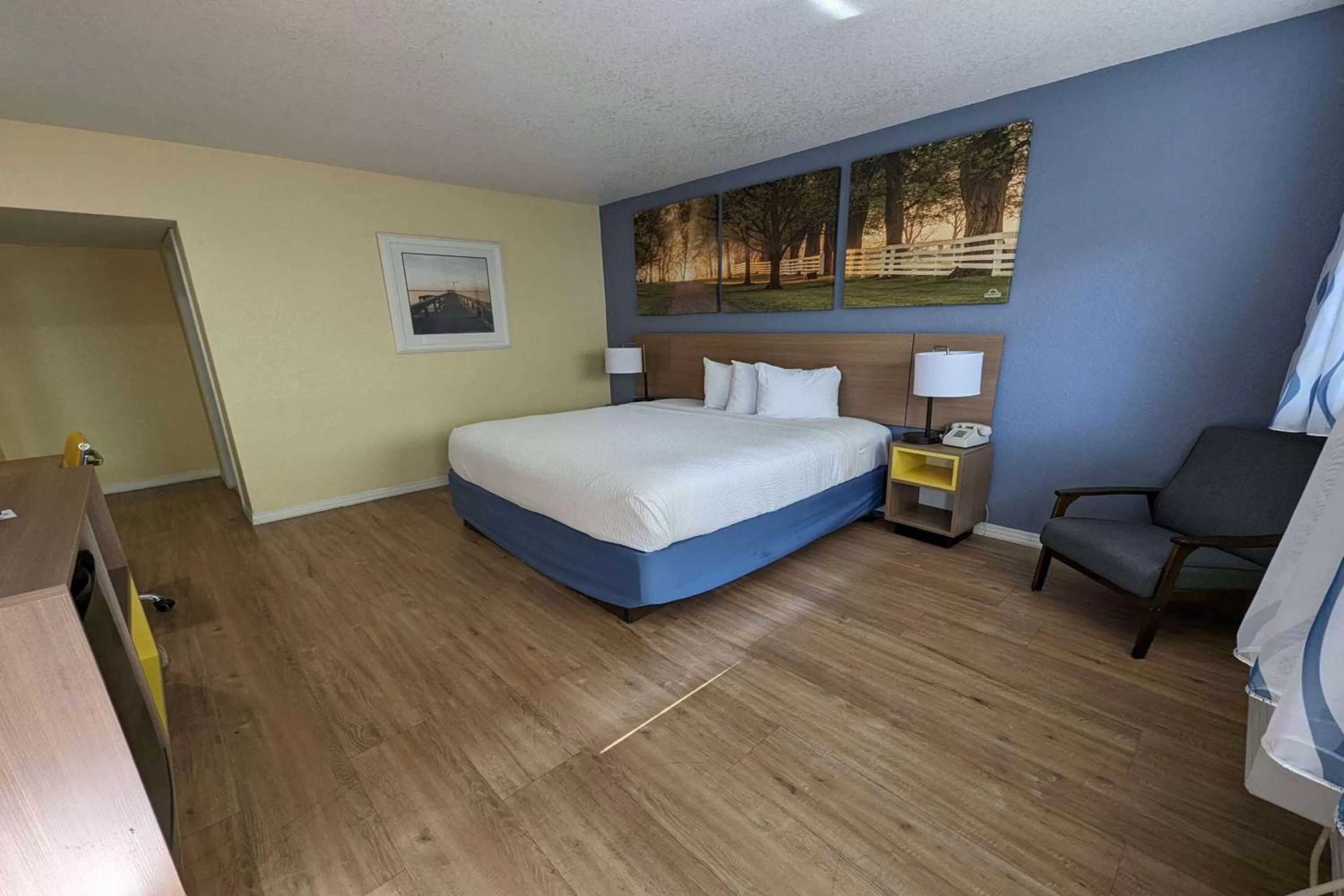 Photo of the whole room, Bed in University Inn