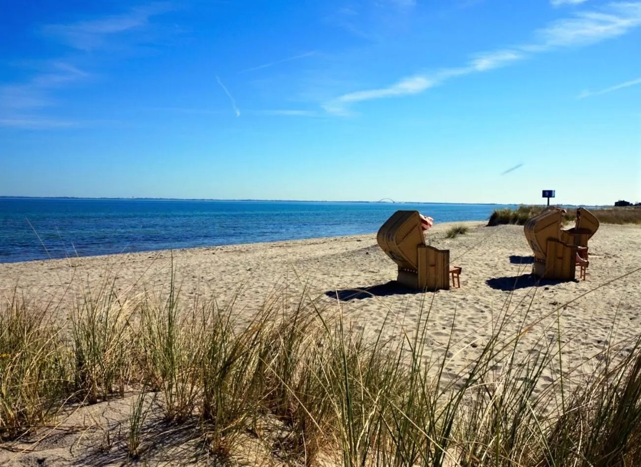 Fishing in Hotel Holsteinische Schweiz am Dieksee
