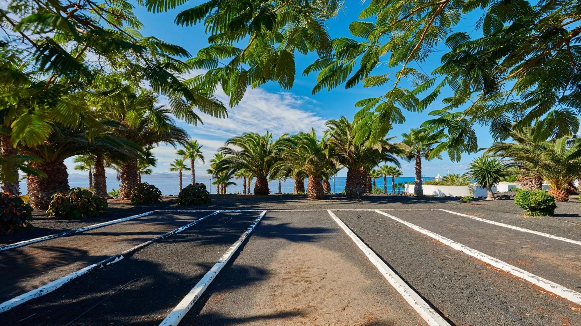 Sports in Hipotels Natura Palace Adults Only