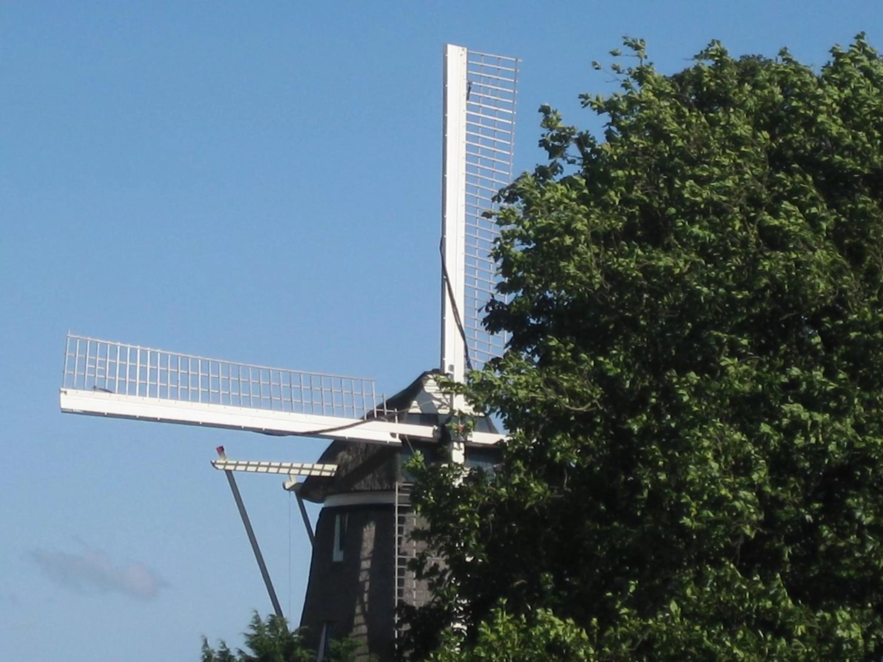 Area and facilities in Quarenta Studio