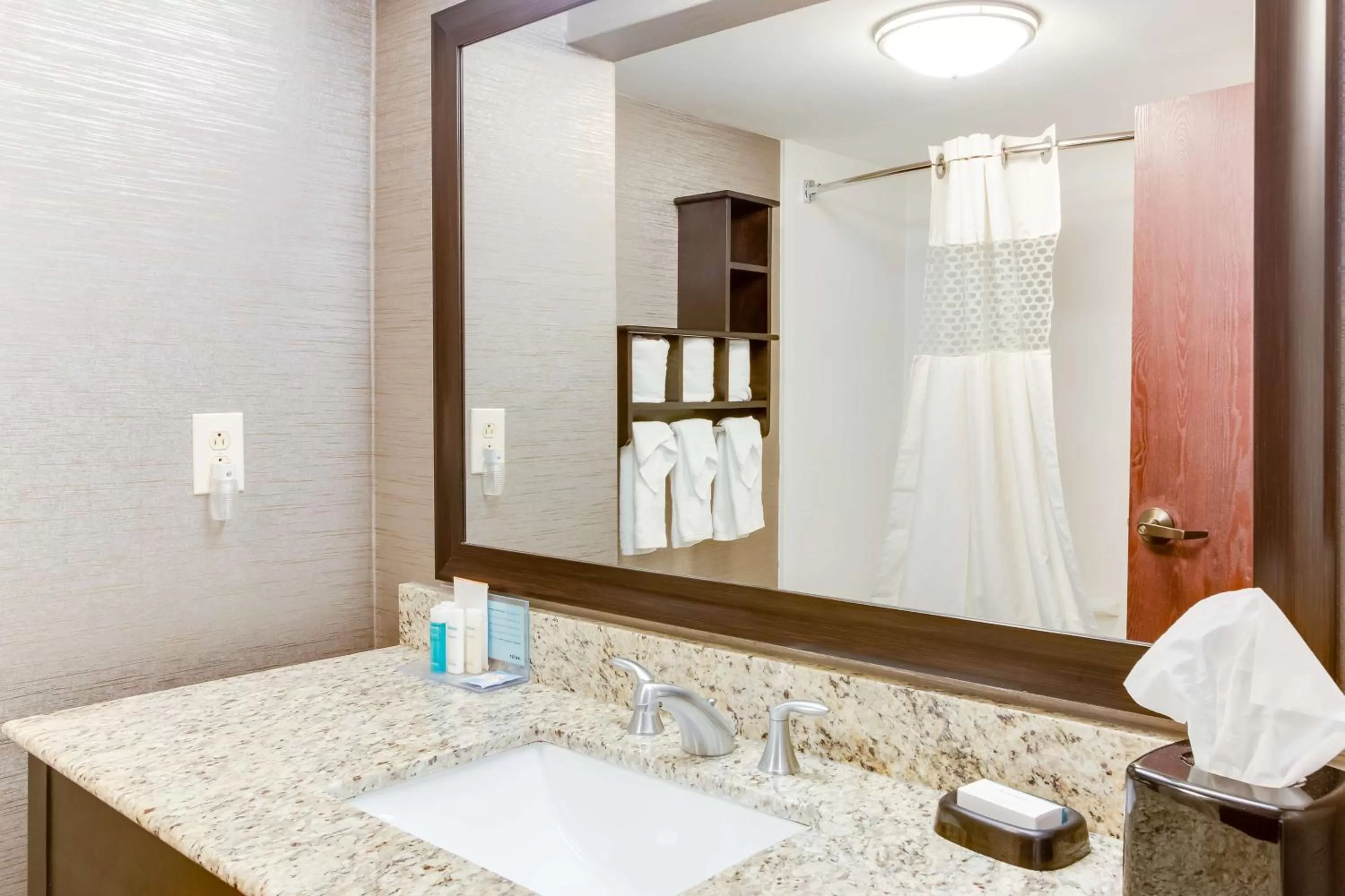 Bathroom in Hampton Inn Bellevue/Nashville I-40 West