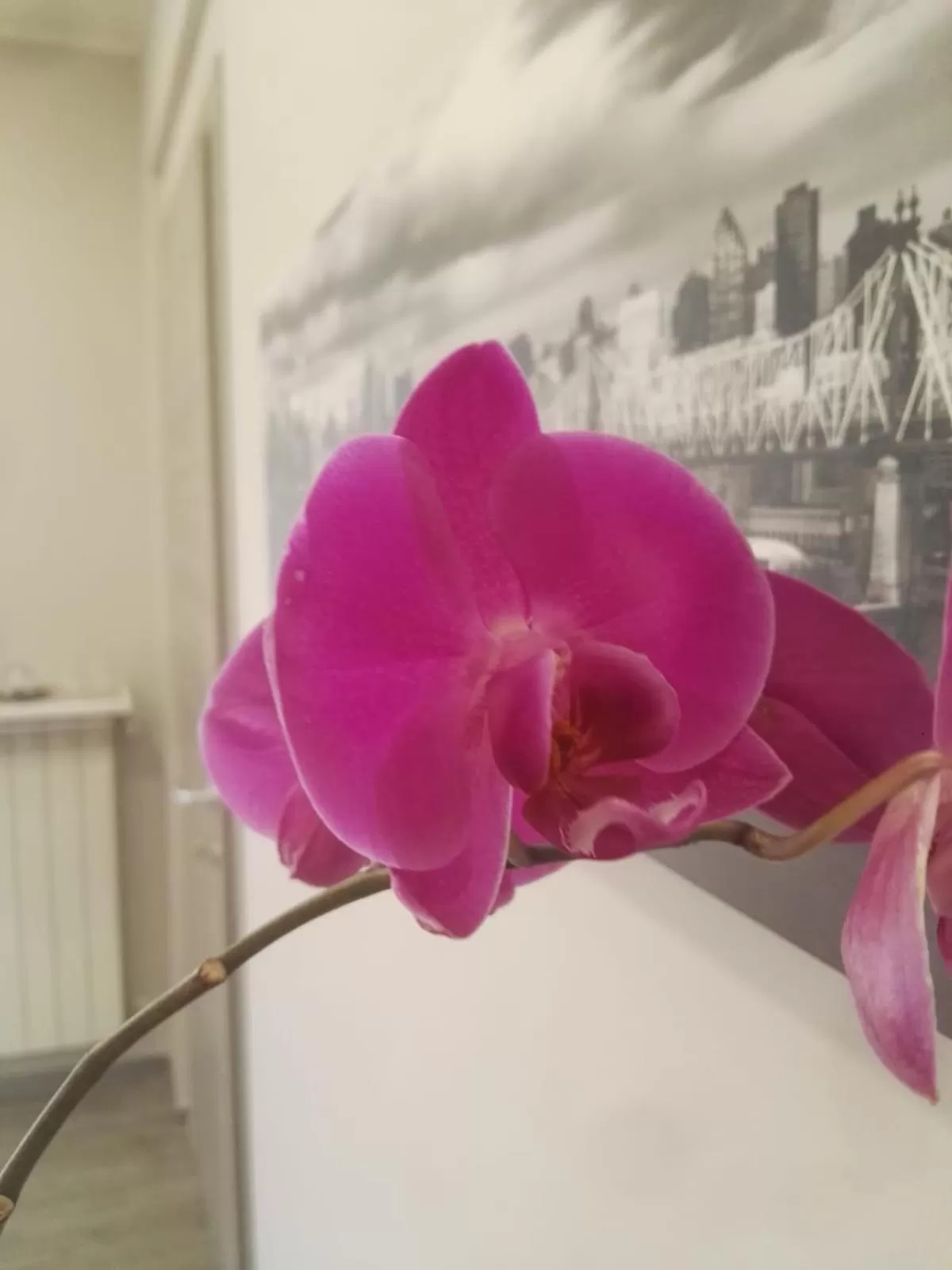 B&B via Piave da Lillo