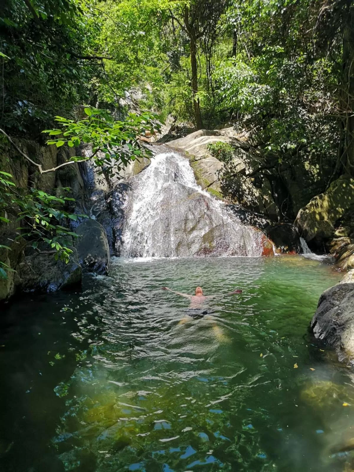 Natural landscape in Feelin' good Resort