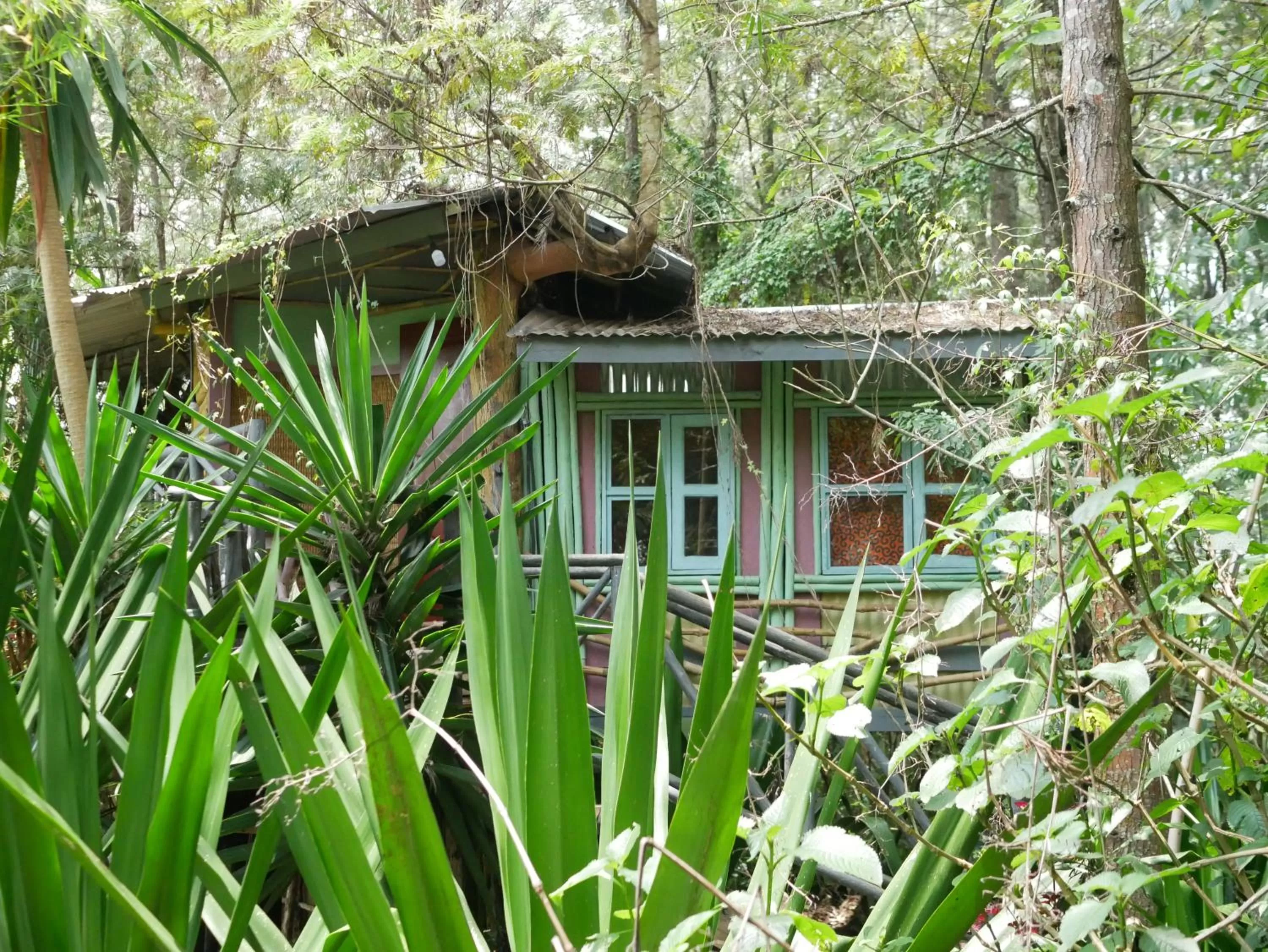 Property building in Fravan Eco Resort By Apogee