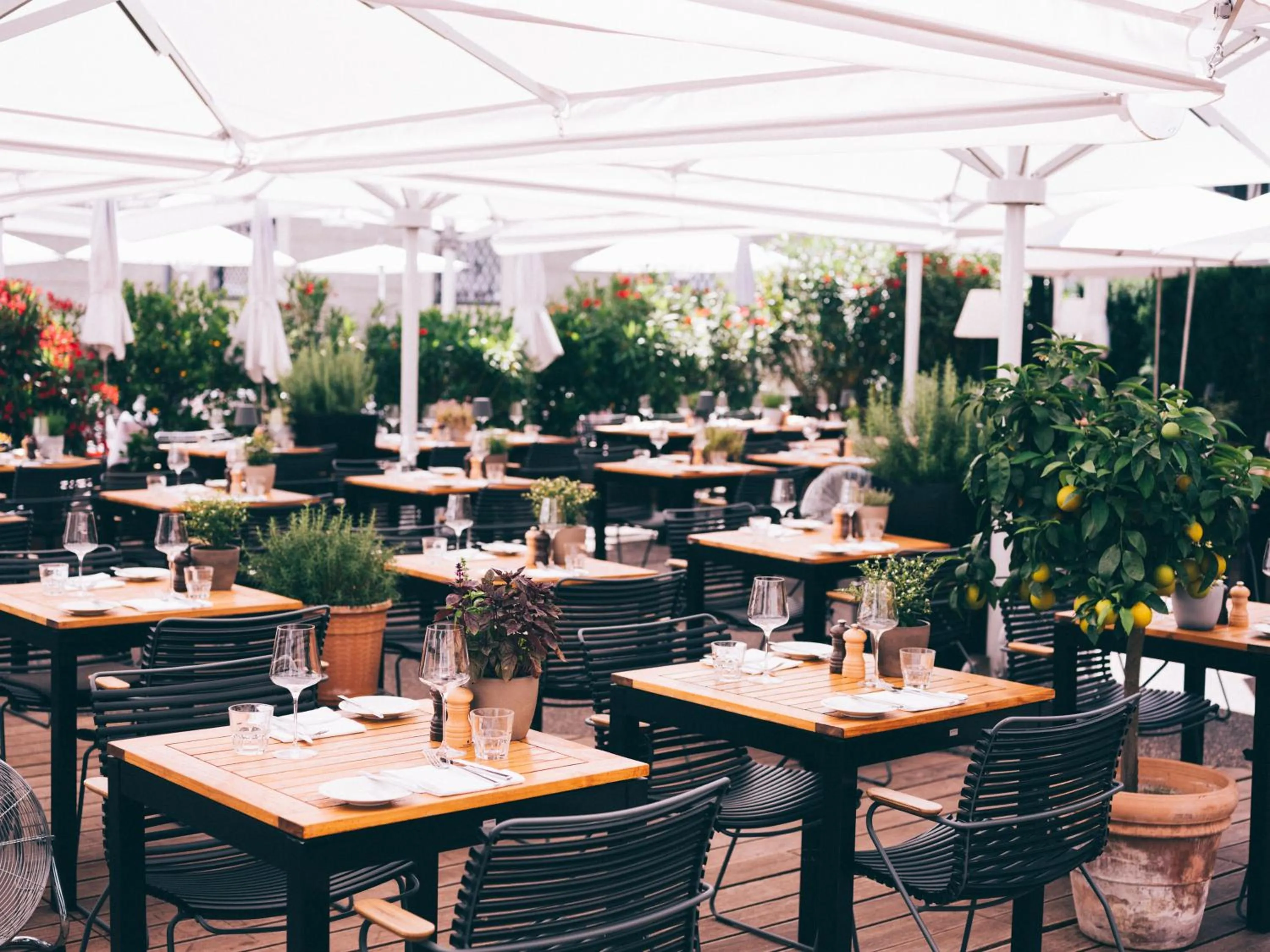 Restaurant/places to eat in artHotel Blaue Gans