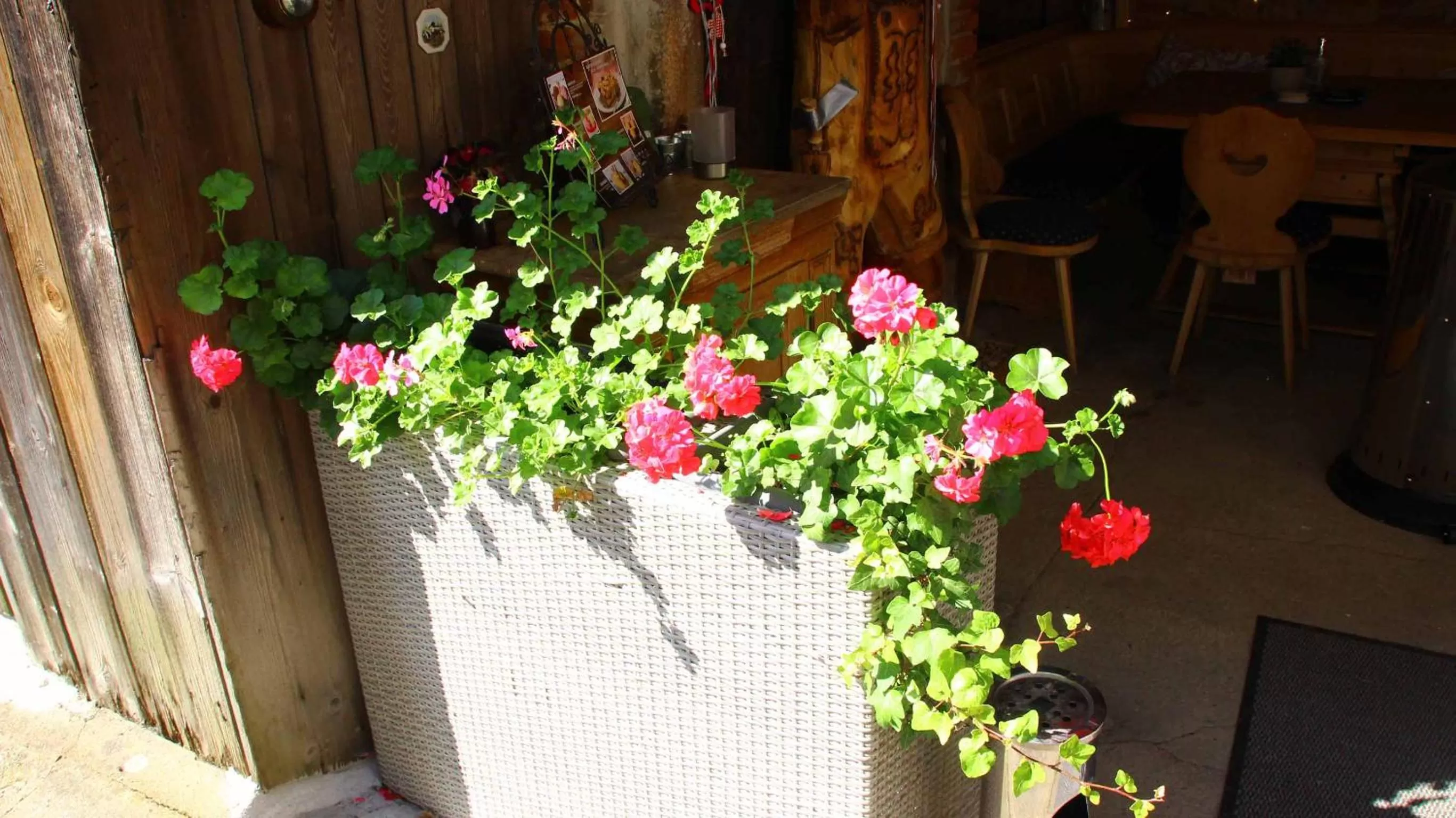 Garden in Hotel Gasthof Zum weissen Lamm