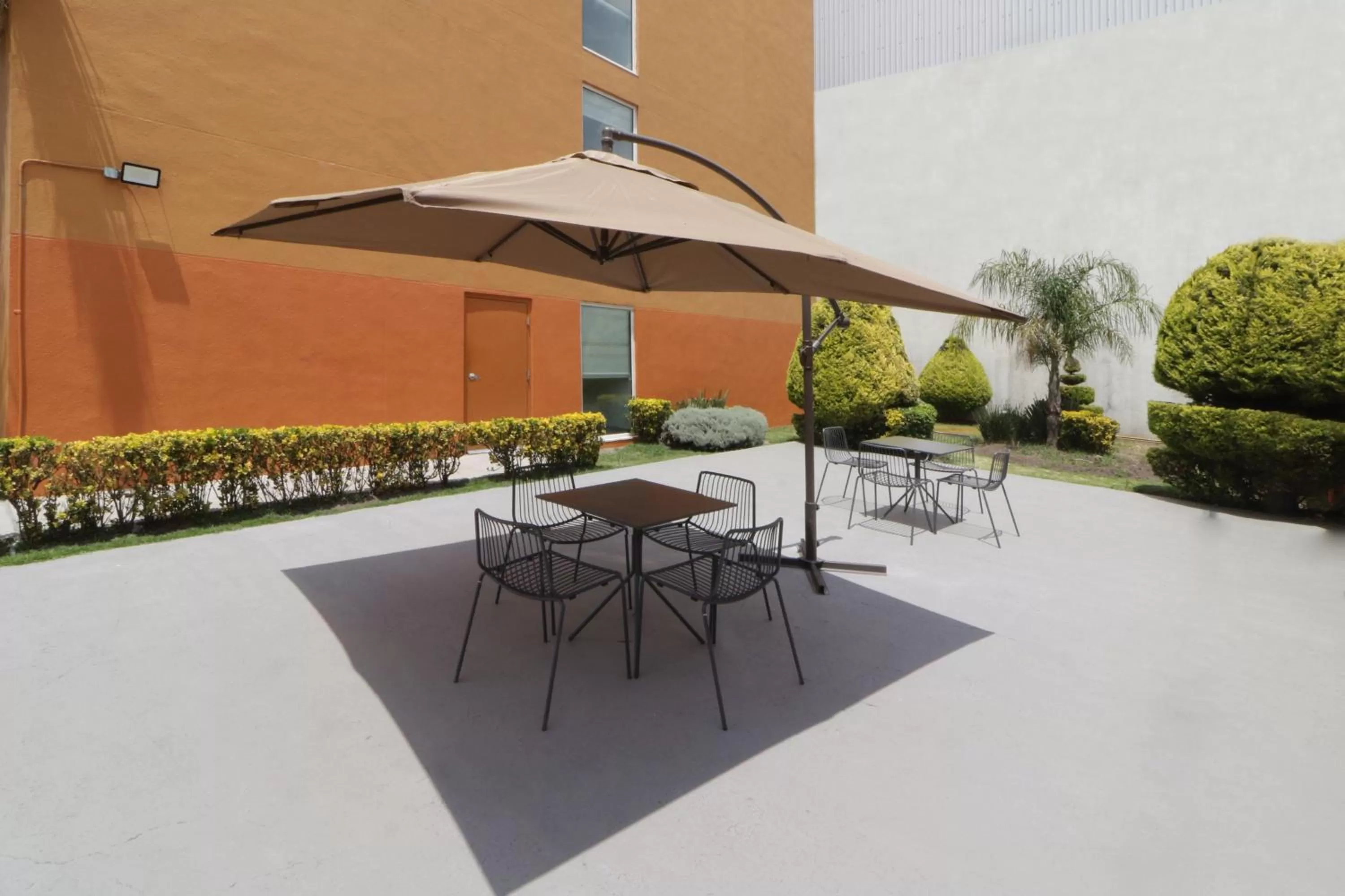 Restaurant/places to eat in City Express Junior by Marriott Toluca Aeropuerto