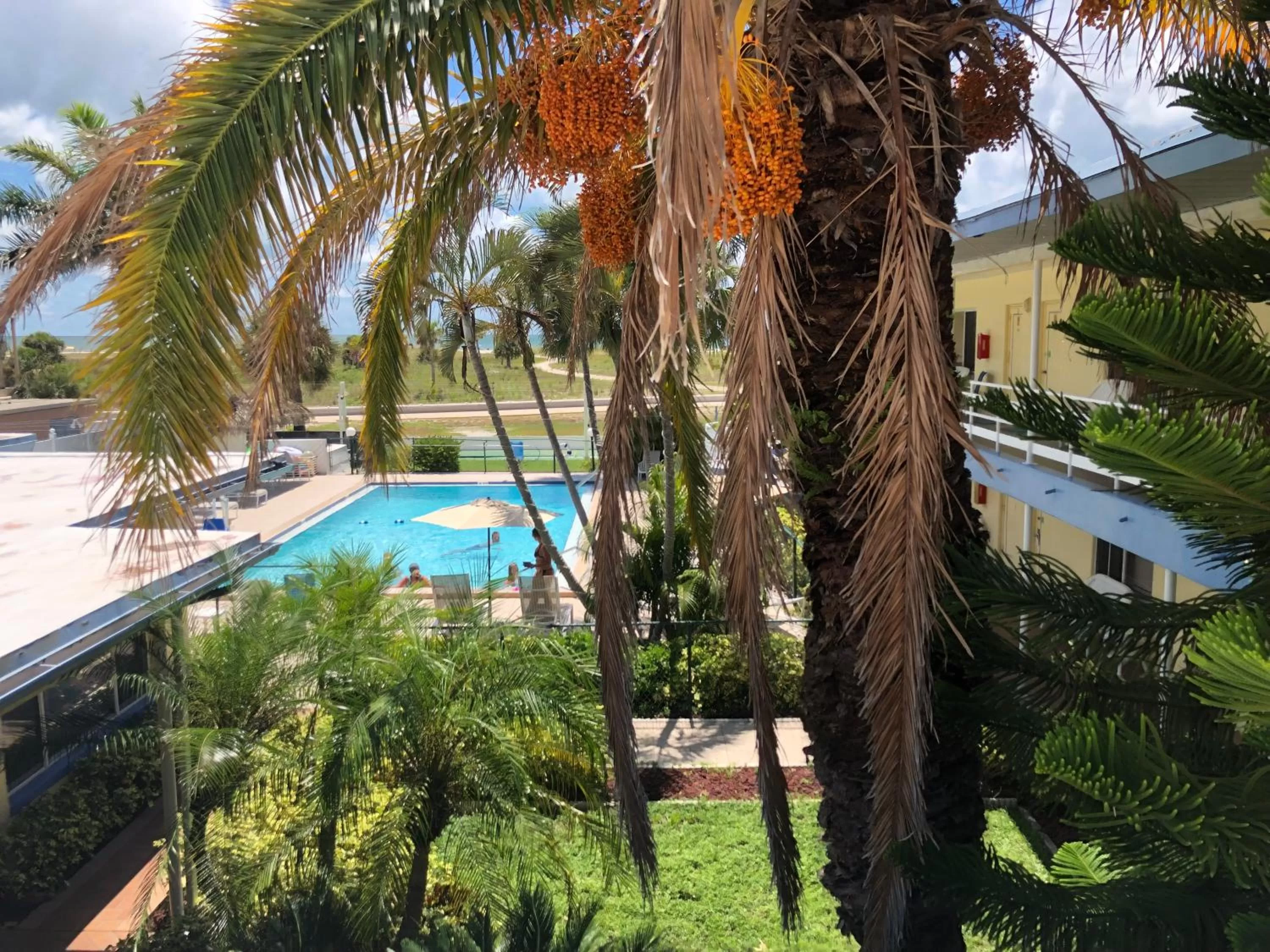 Swimming pool, Pool View in Arvilla Motel