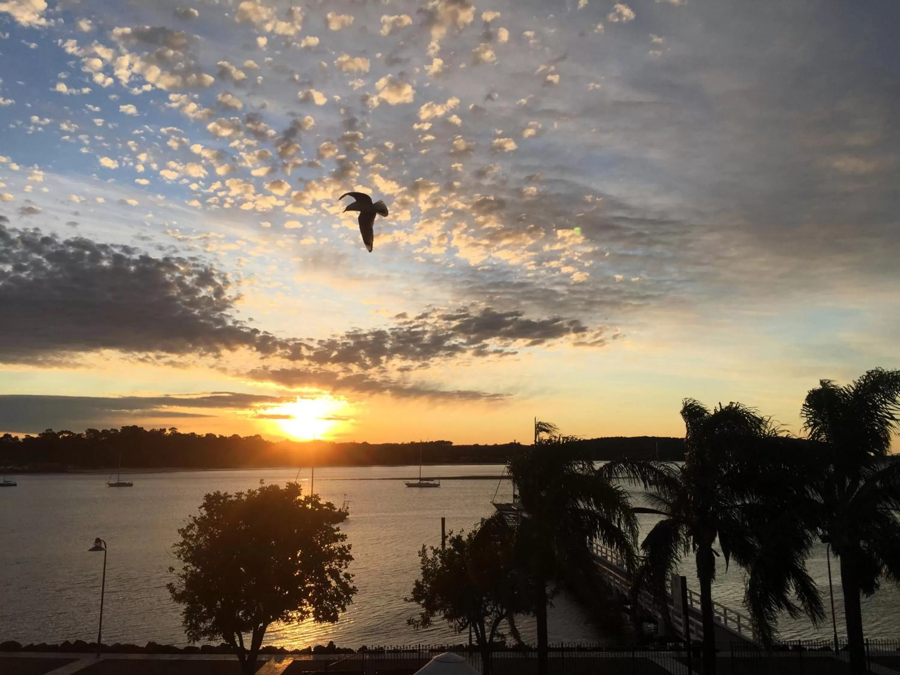 Sunrise in Mariners on the Waterfront