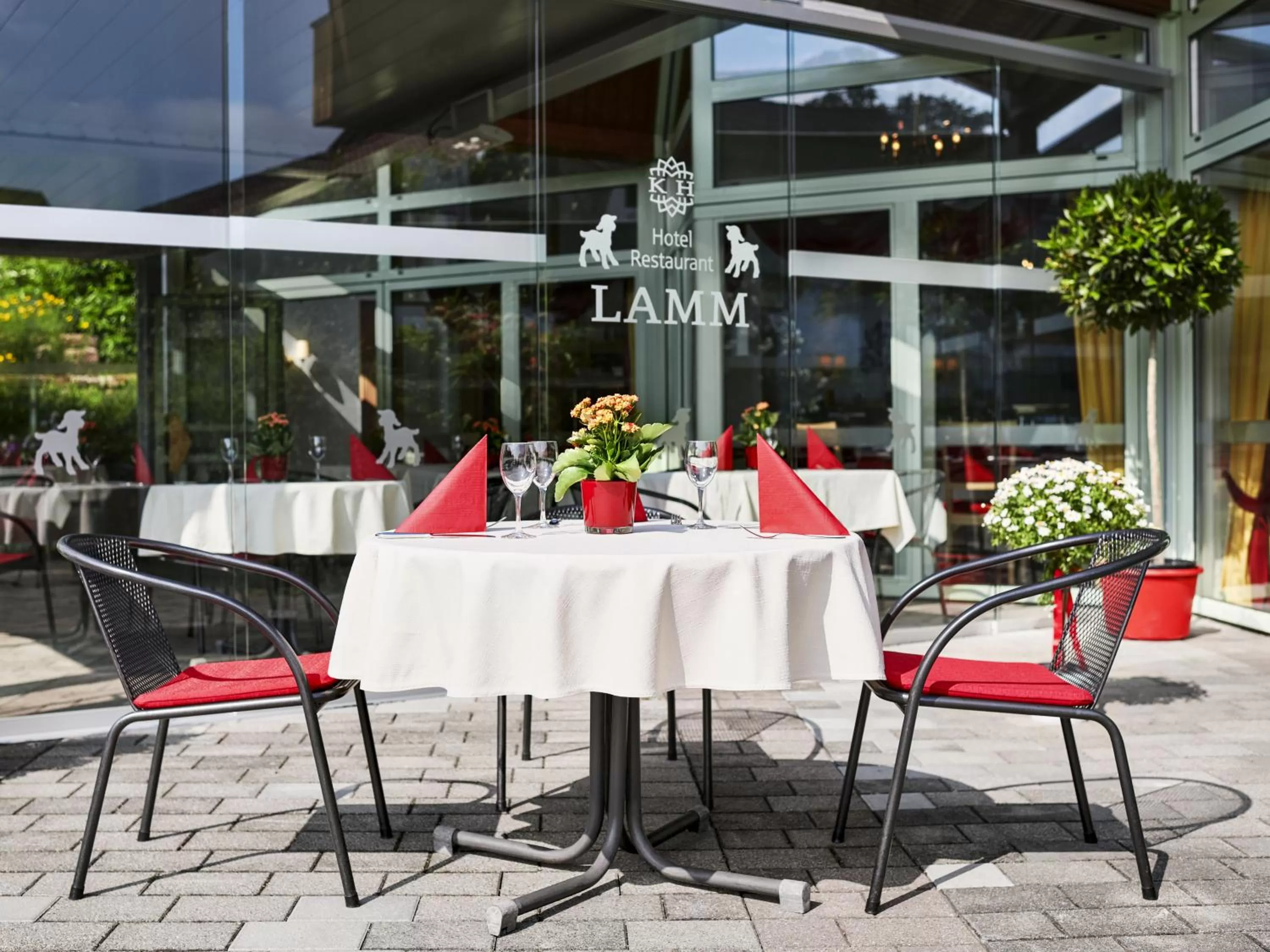 Patio in Hotel Lamm