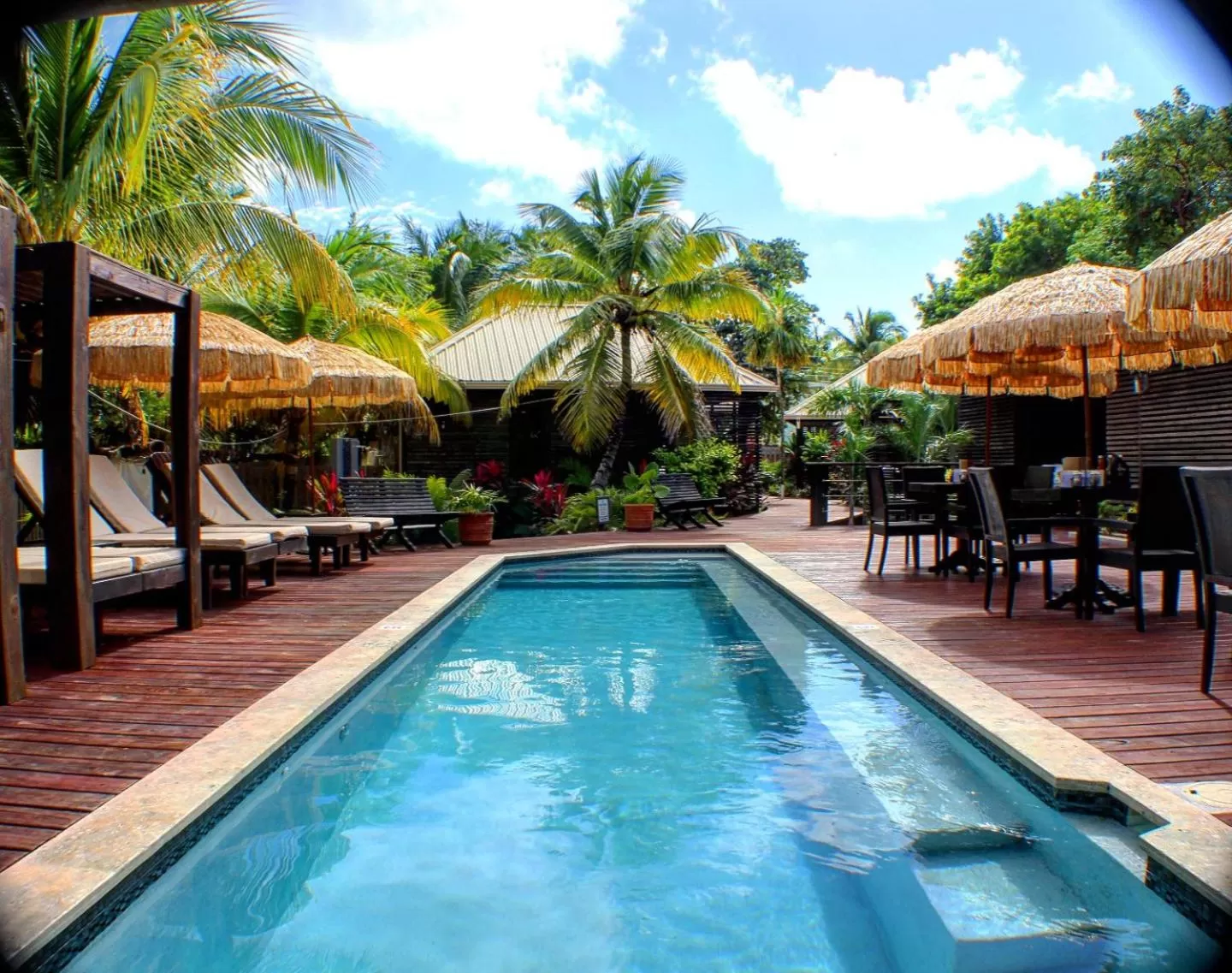 Day, Swimming Pool in PUR Boutique Cabanas, Adults Only