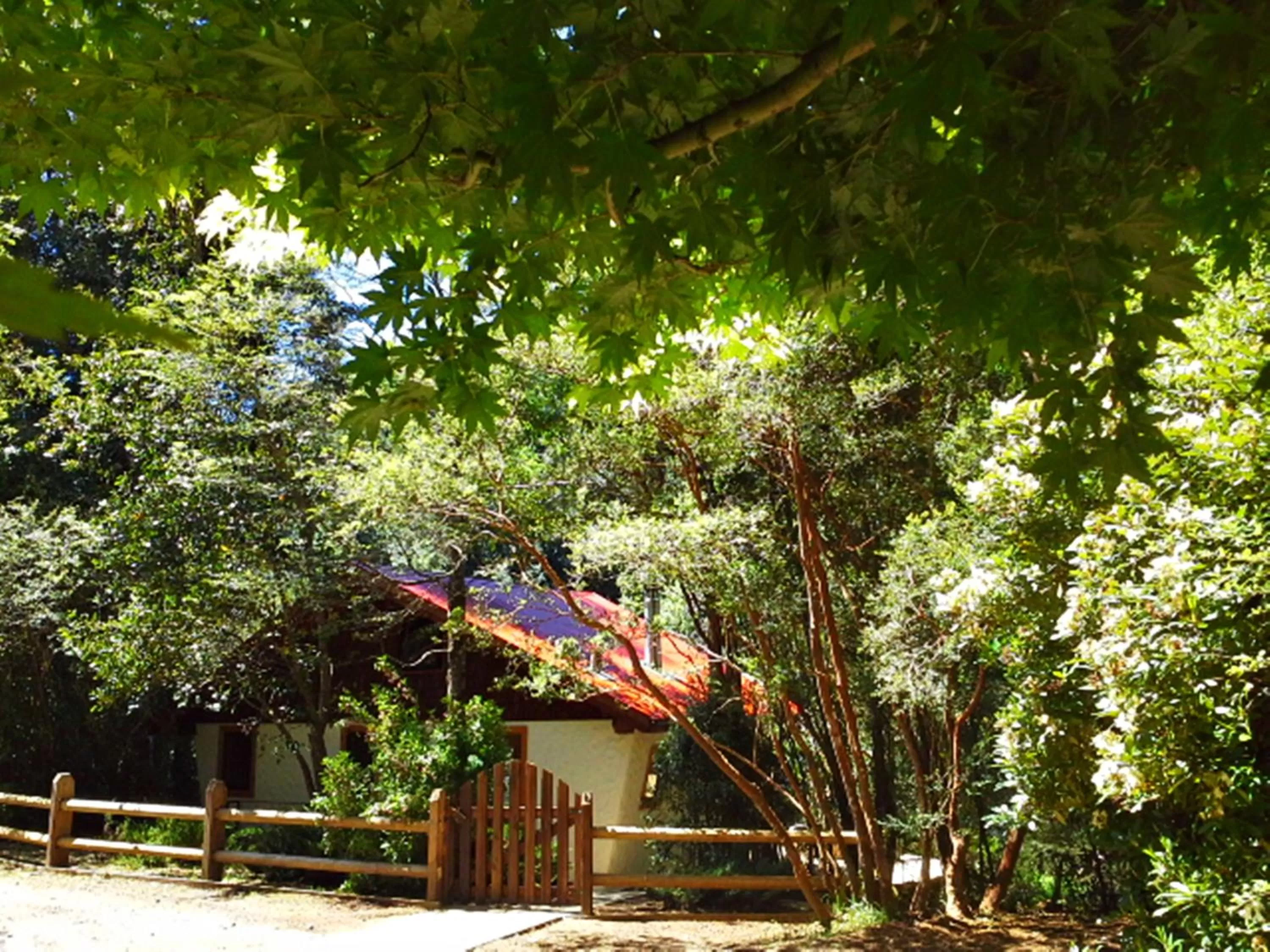 Facade/entrance in Hotel Salto del Carileufu