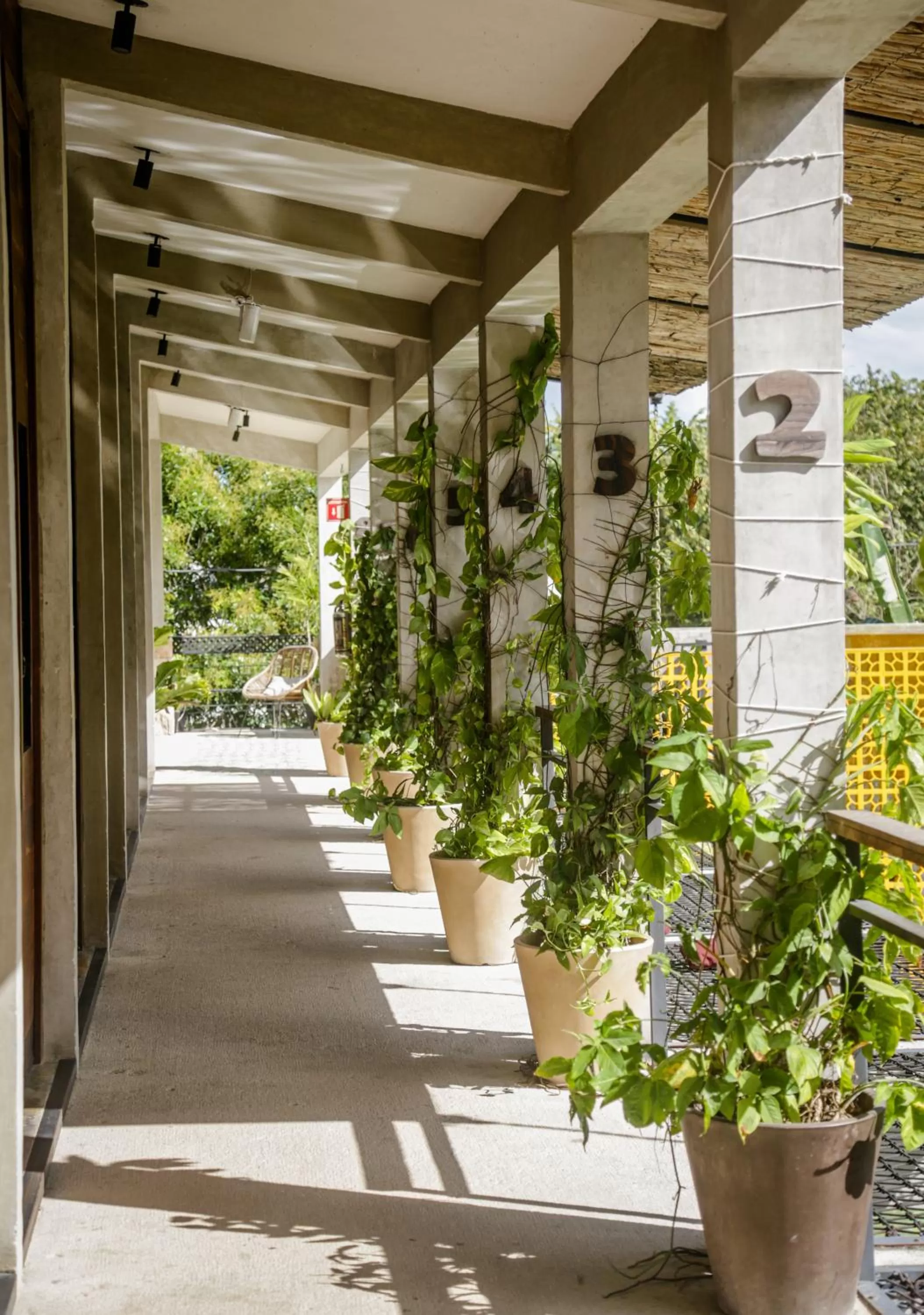 Garden view in Hotel Makaabá Eco-Boutique
