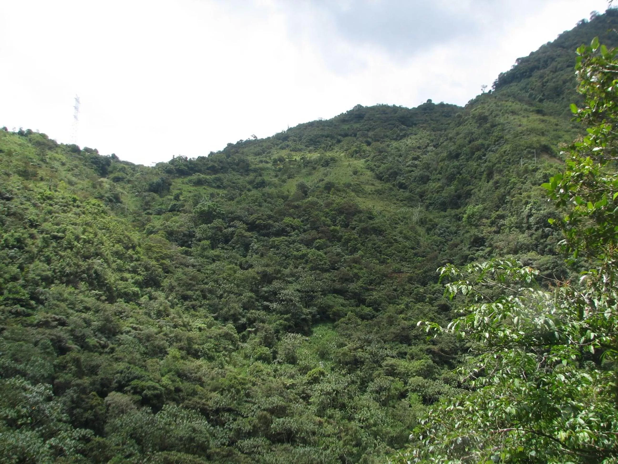 Garden, Natural Landscape in Spa Hosteria Miramelindo