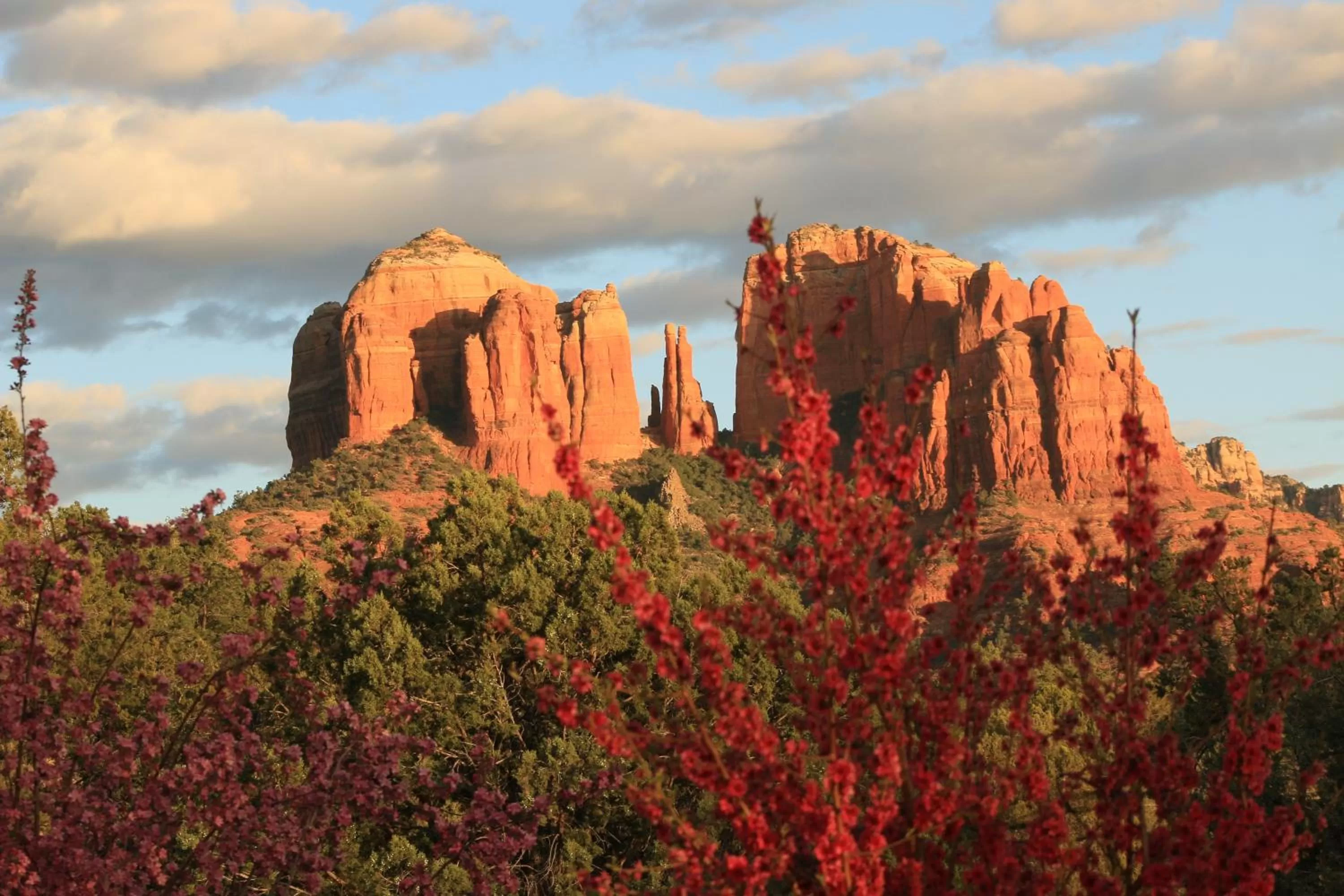 Natural landscape in Sedona Cathedral Hideaway LLC